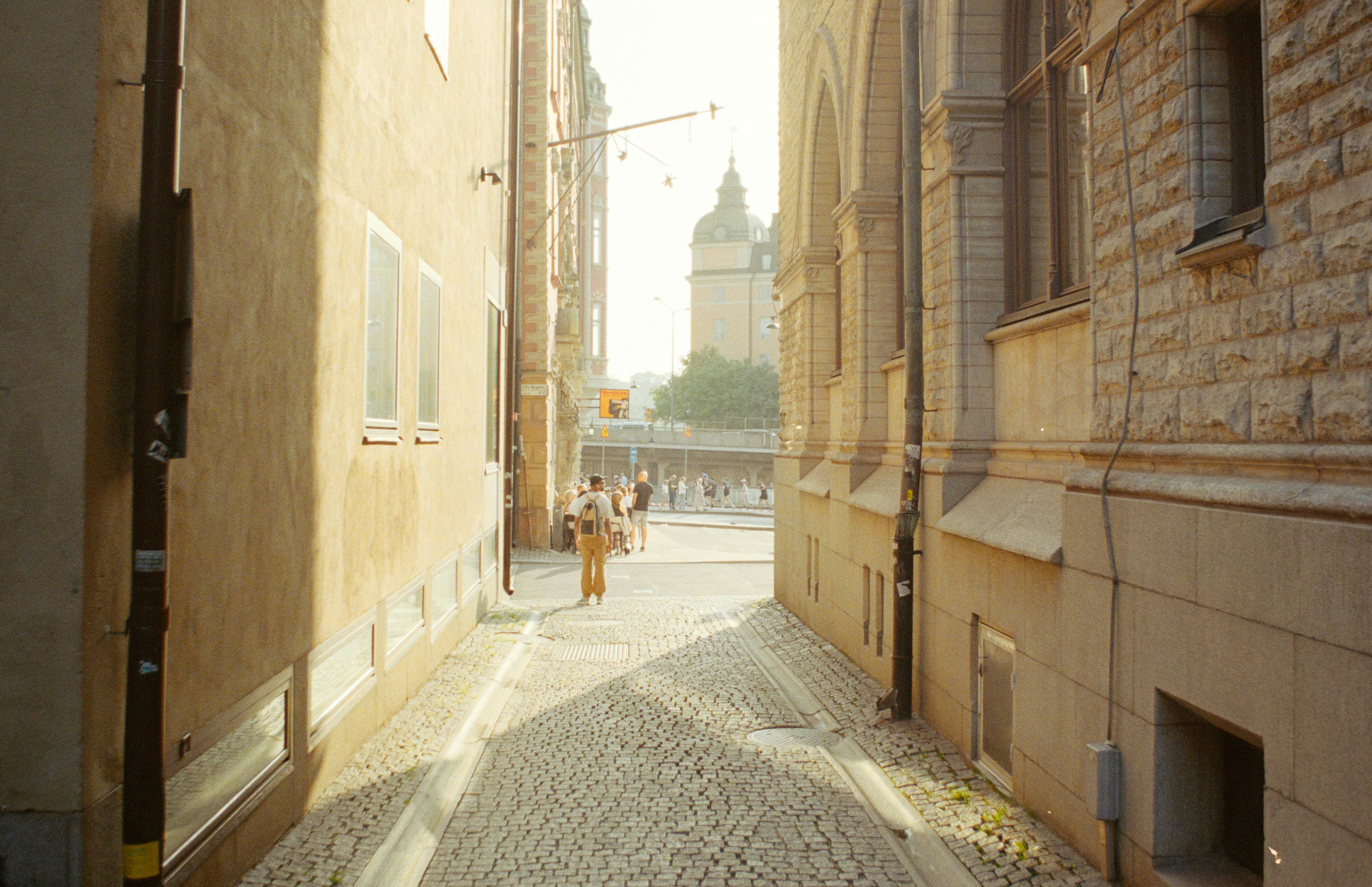 The Anti-Inflammatory Diet Plan May Hold The Secret To Minimizing Rheumatoid Arthritis Symptoms-- Discover Exactly How The Ideal Foods Can Transform Your Wellness Trip