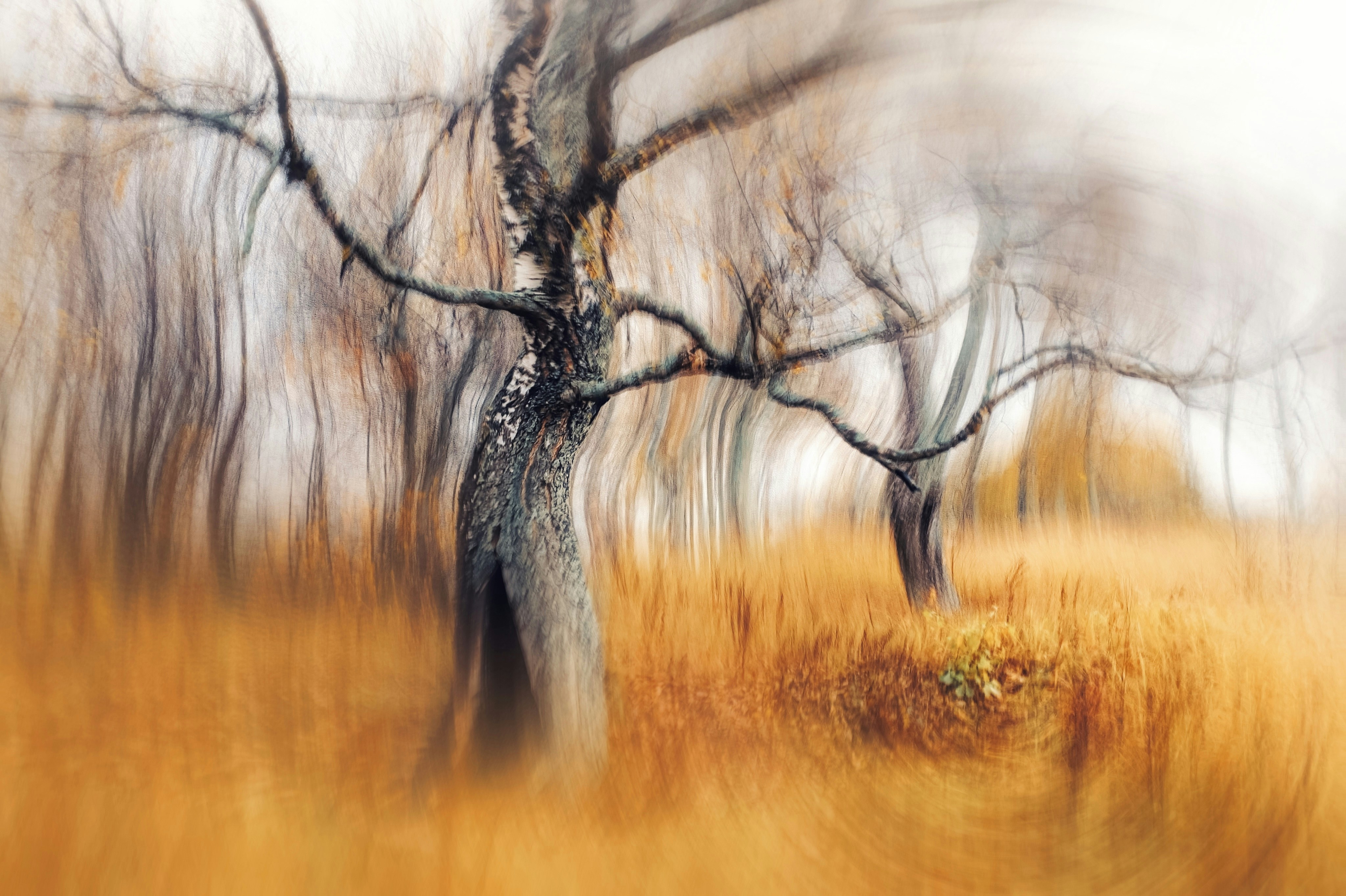 In The Middle Of The Makeover Of Societal Characteristics, The Progressing Function Of Churches Showcases Their Long-Lasting Significance In Communities-- Are They Actually Being Redefined?