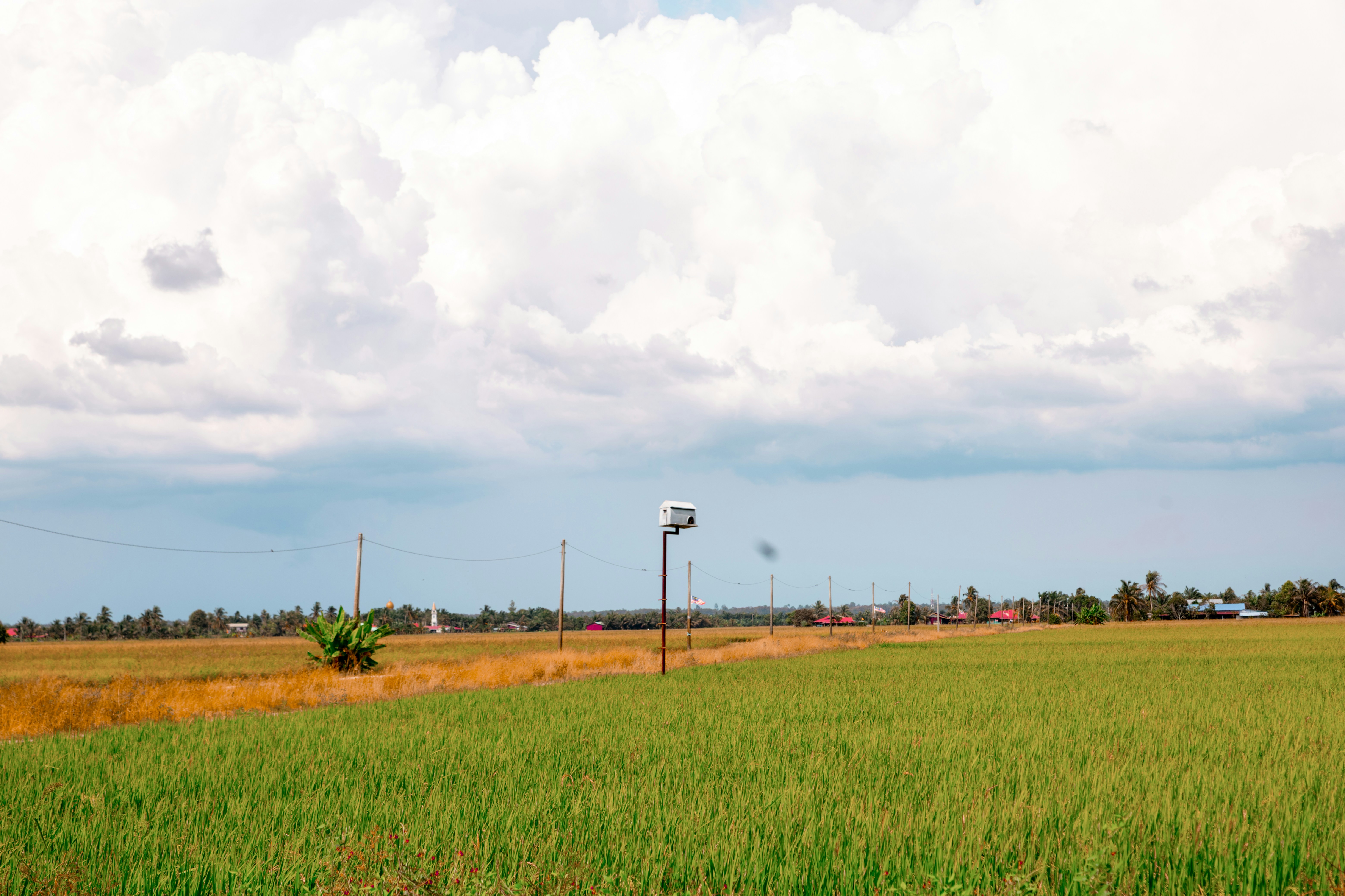 Photo by mynameisiknow