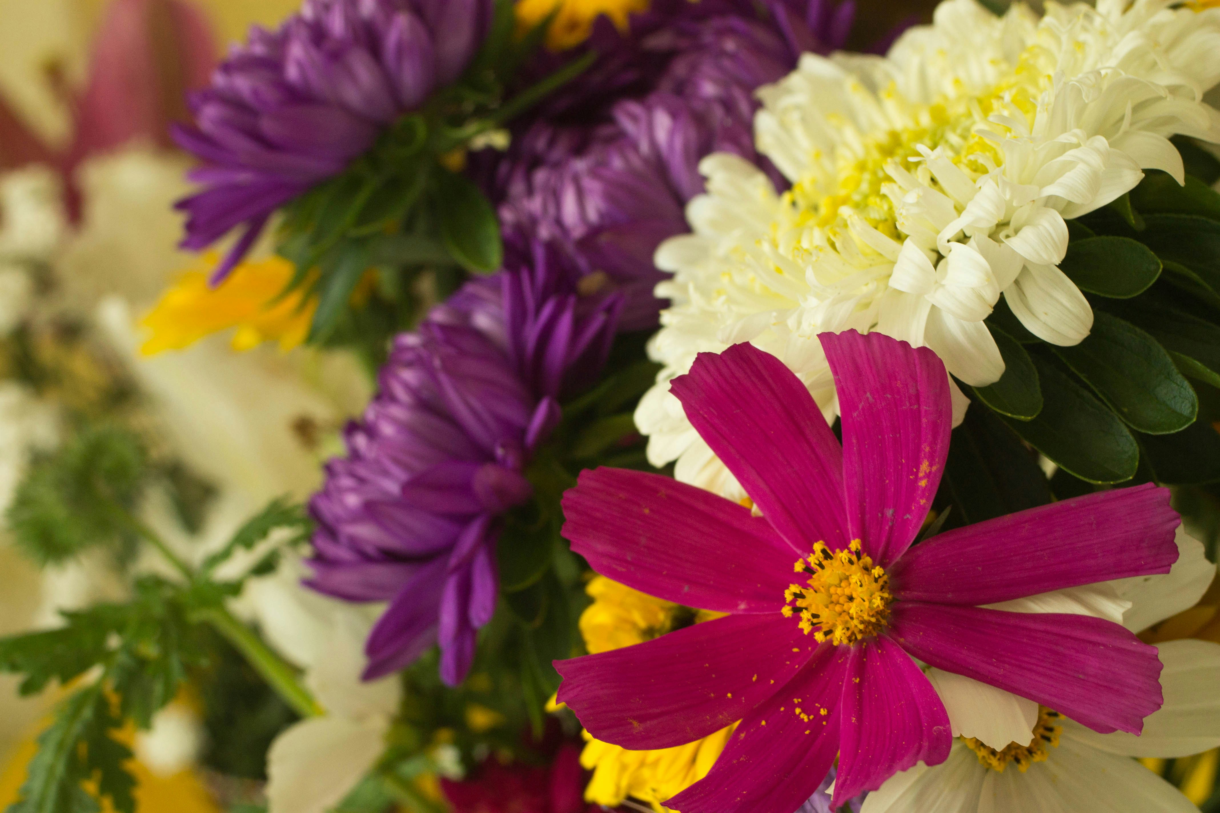 A colorful bouquet of assorted flowers