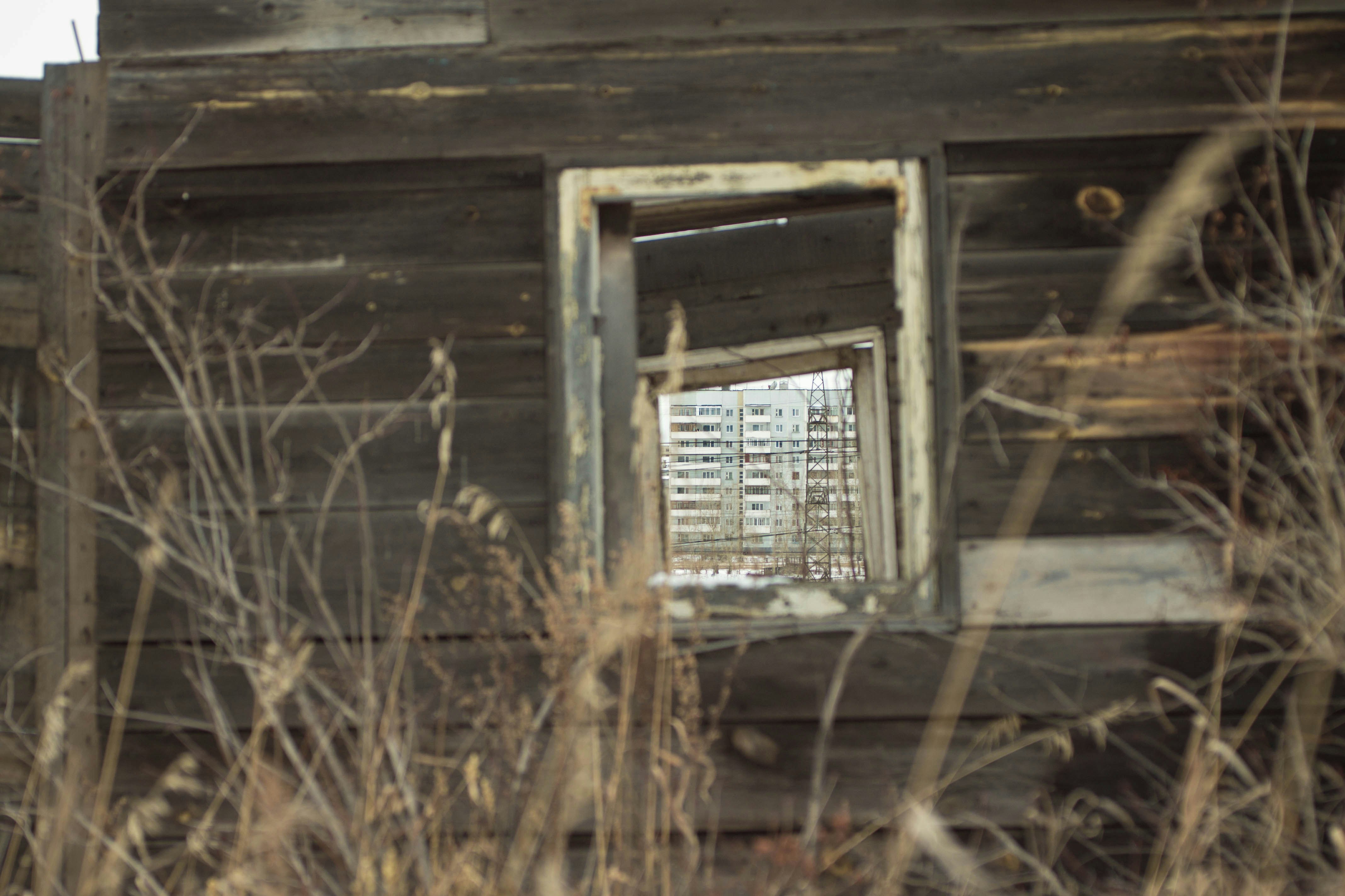 Photo by agrustin