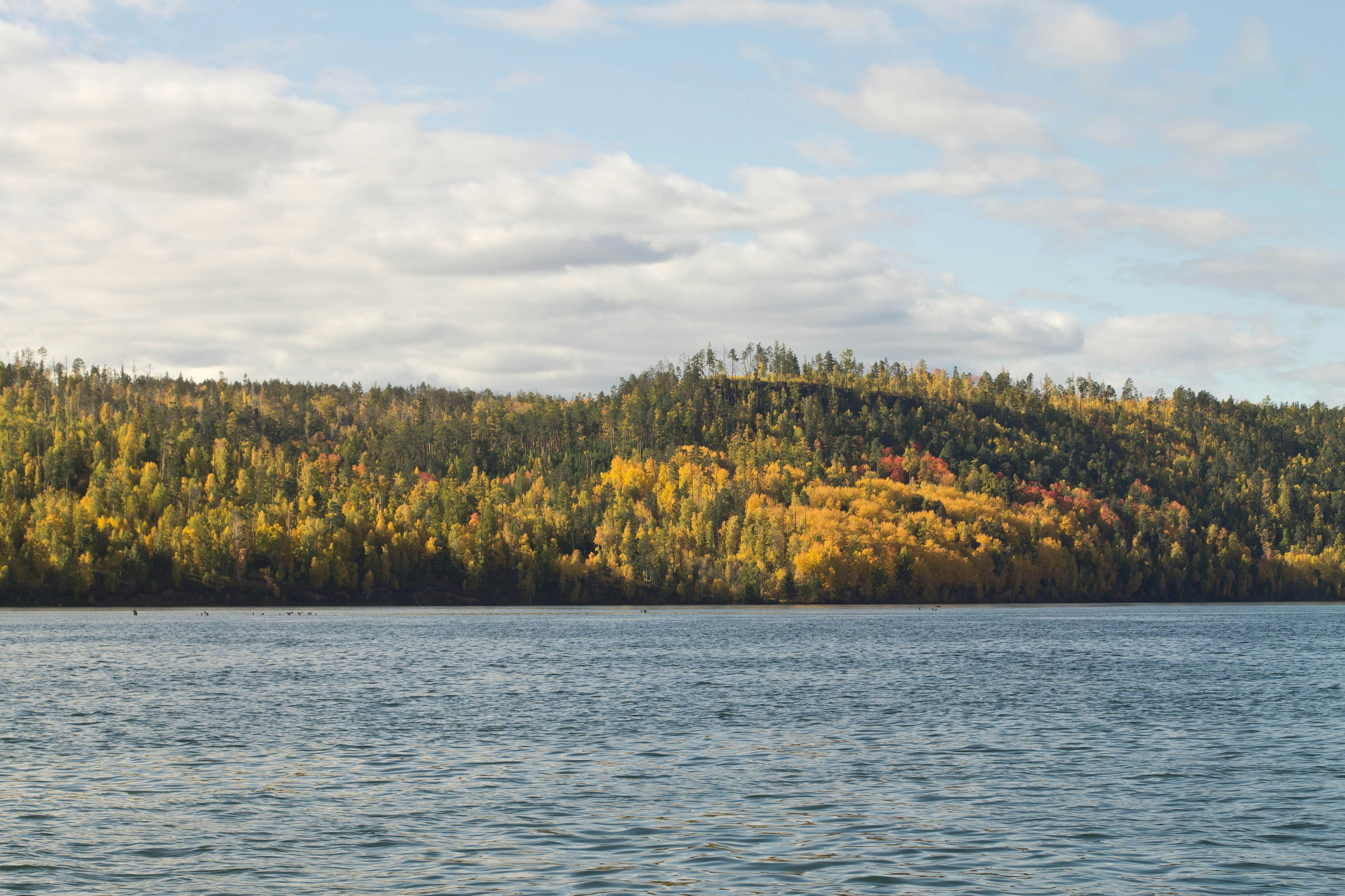 Illustration of common credit issues specific to South Lake