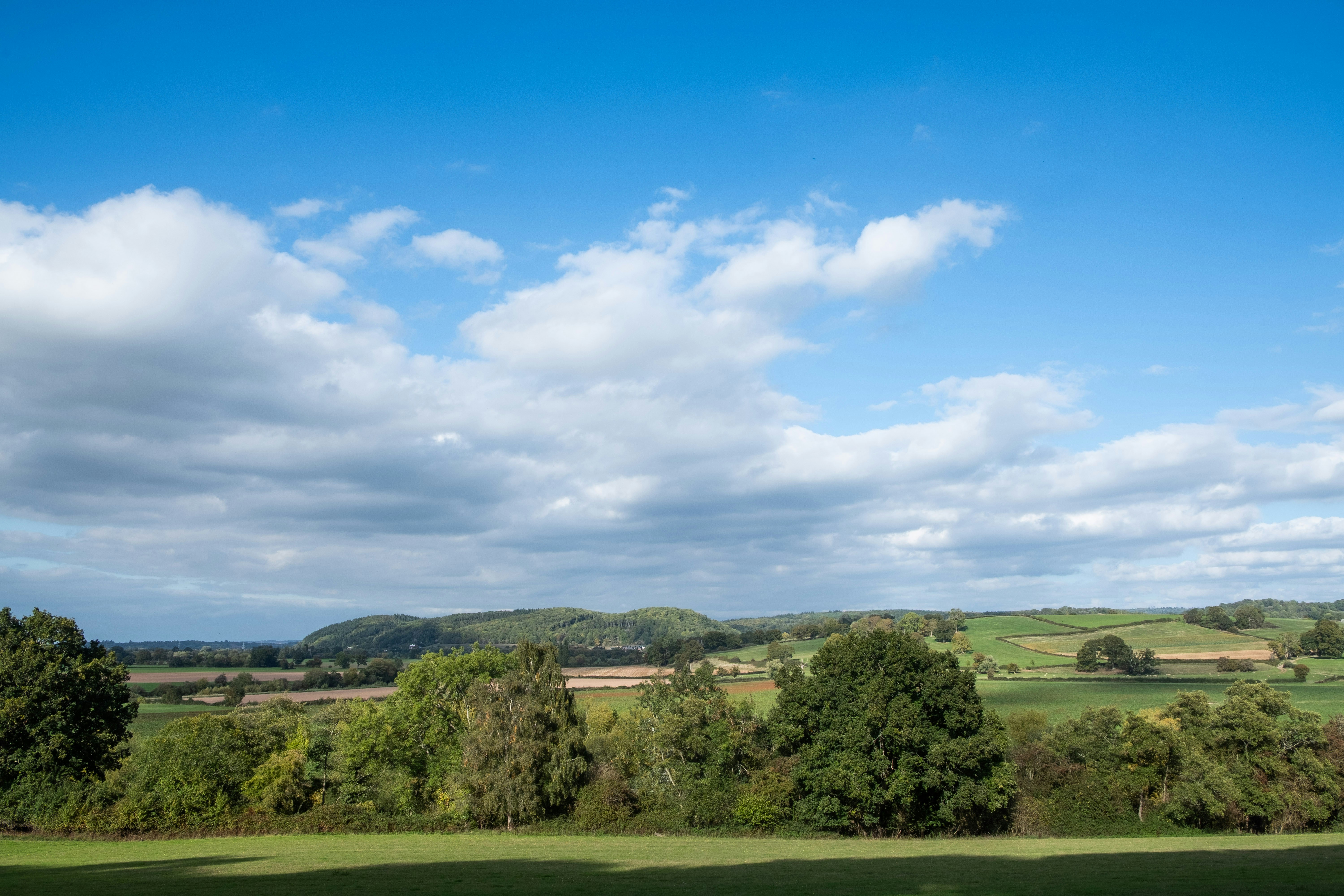 Photo by veronicaa_white