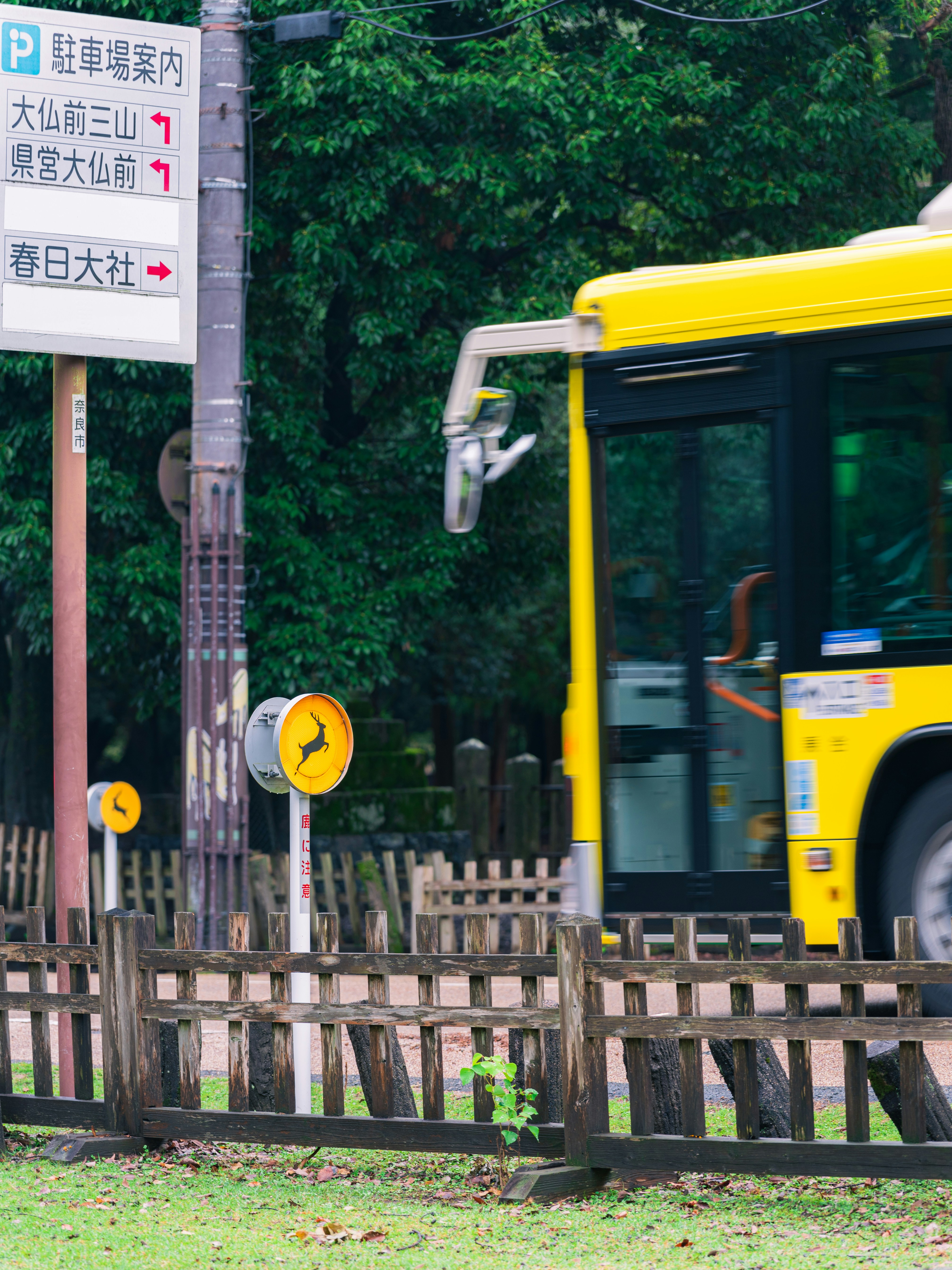 Tourist Subway Passes: When the Math Actually Works in Your Favor