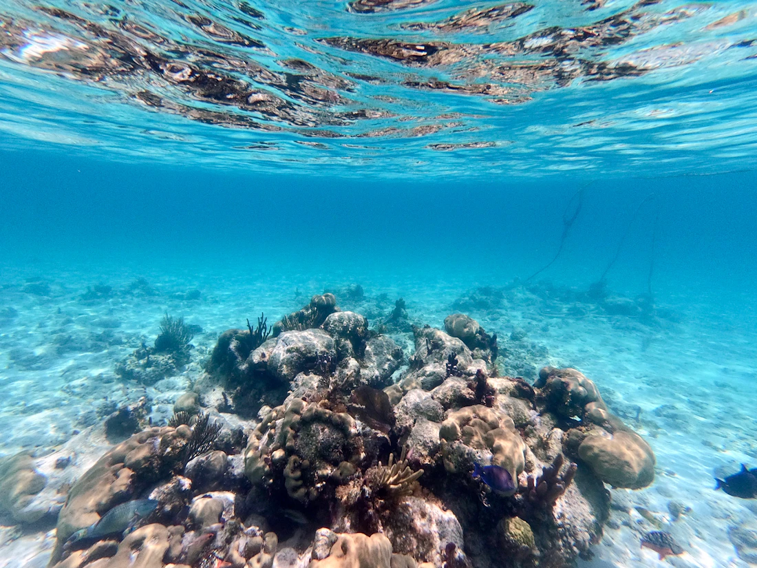 Smith’s Reef