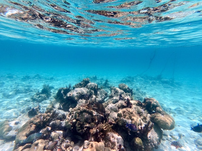 Karibea Beach Resort resort