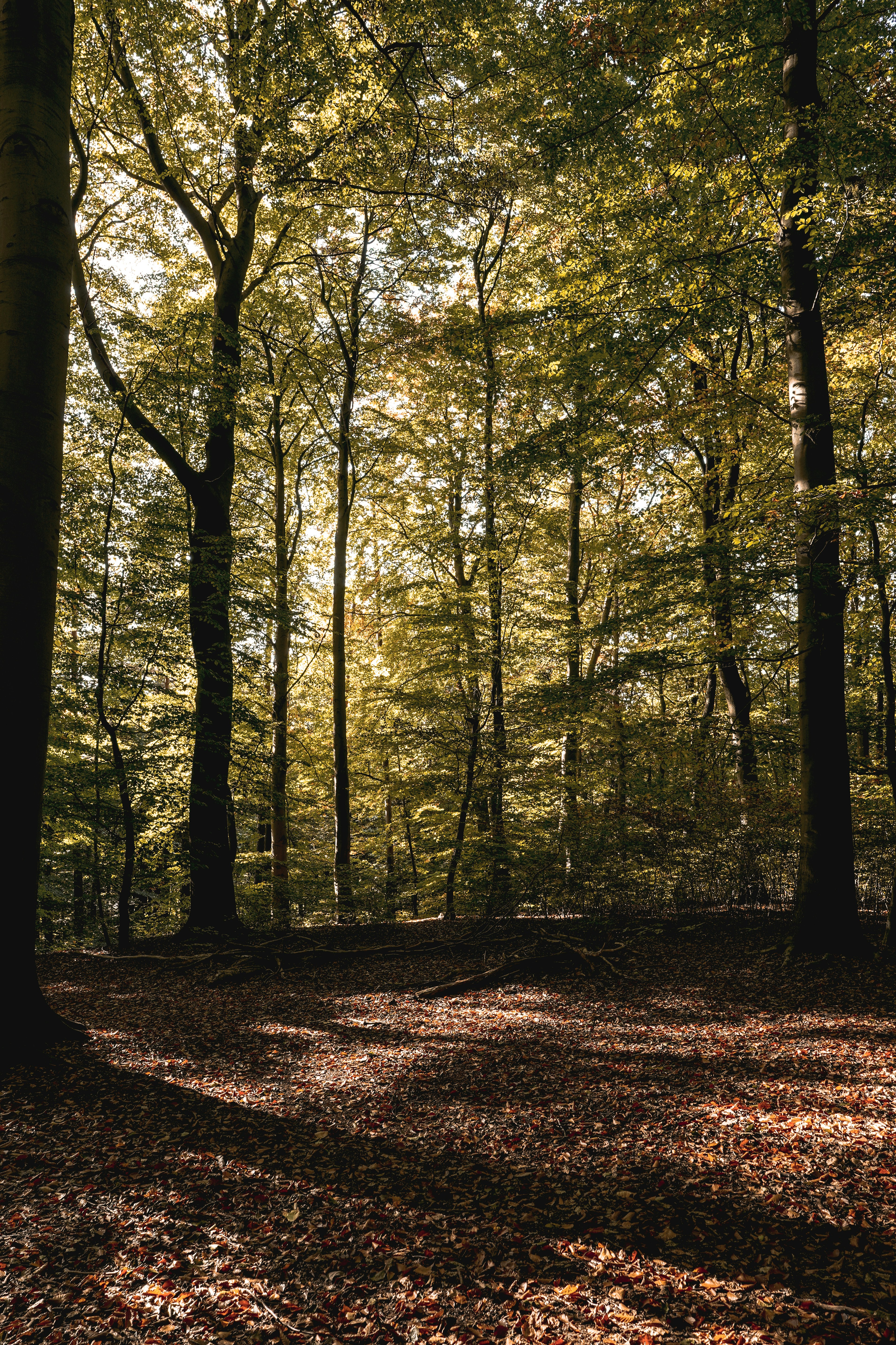 Photo by hamburgmeinefreundin