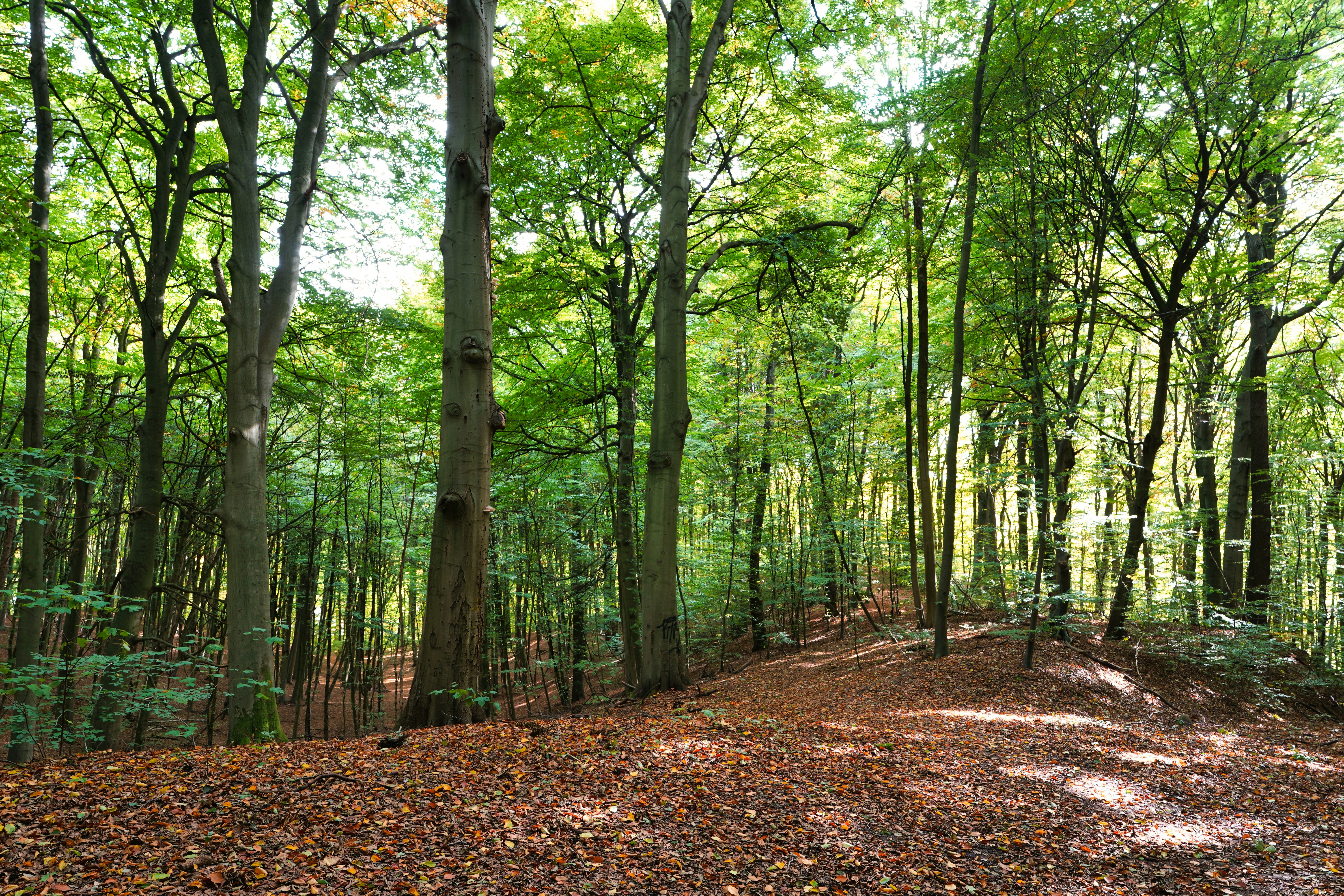 Photo by hamburgmeinefreundin