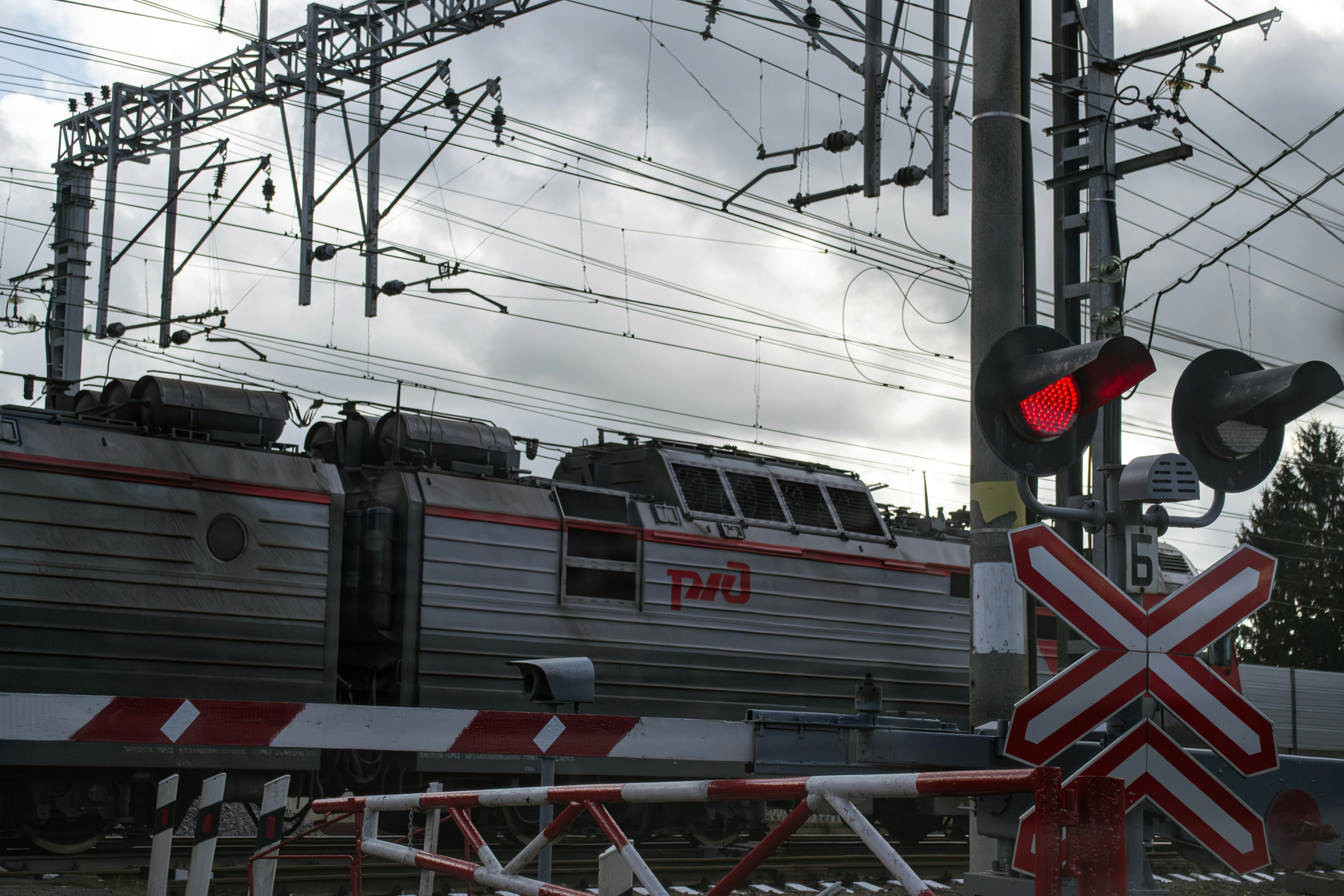 Photo by brunowilson228