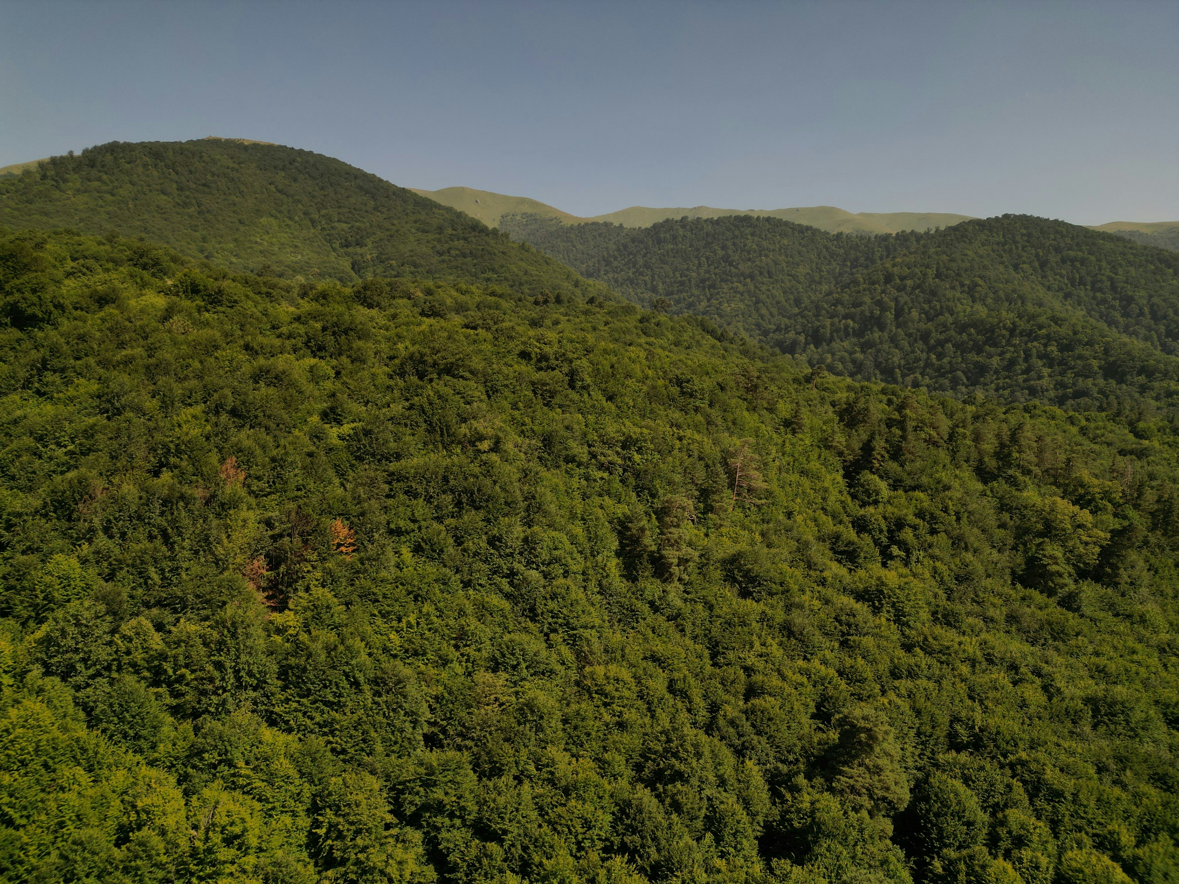 Photo by jack5parrow