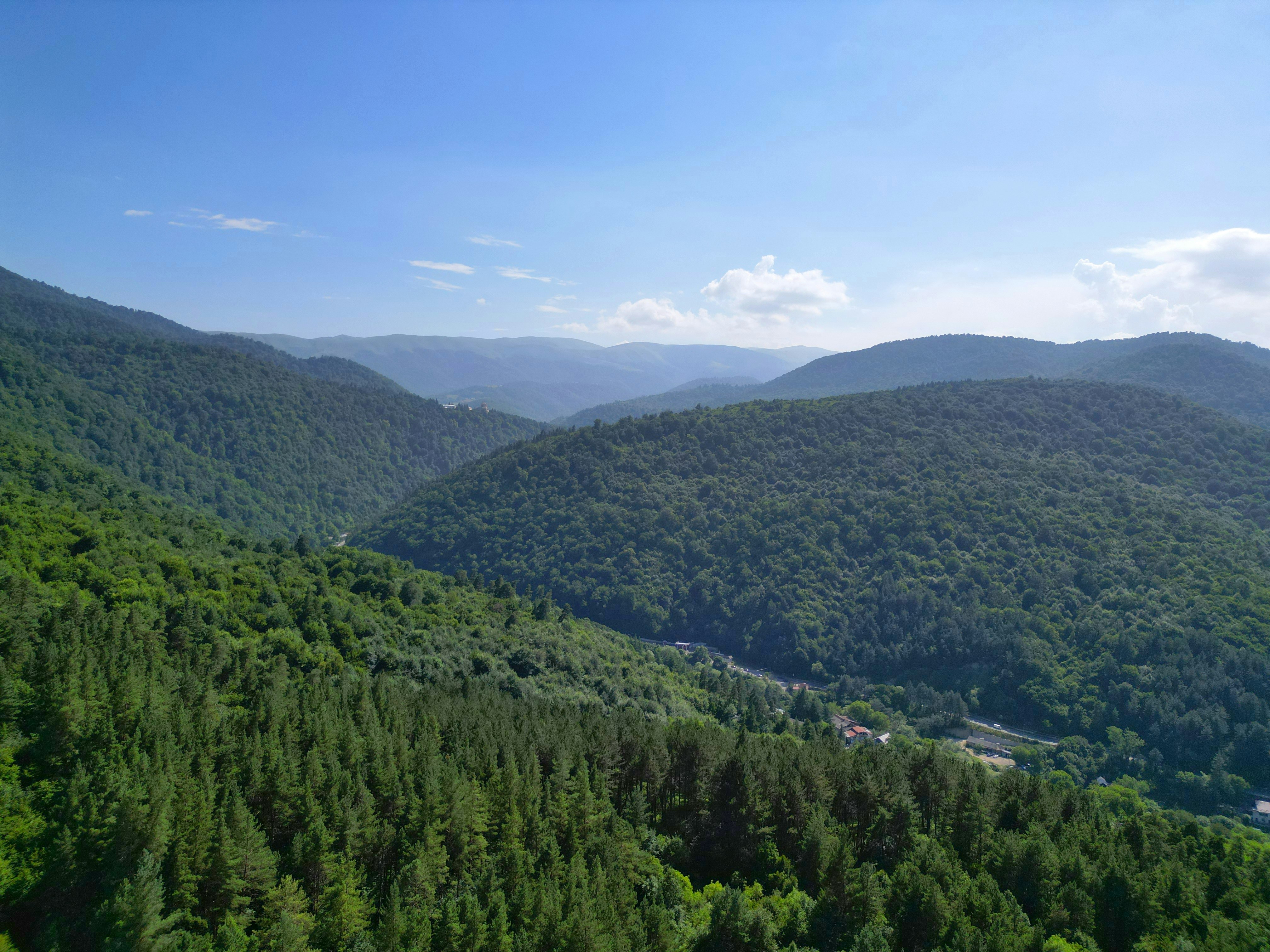 Photo by jack5parrow