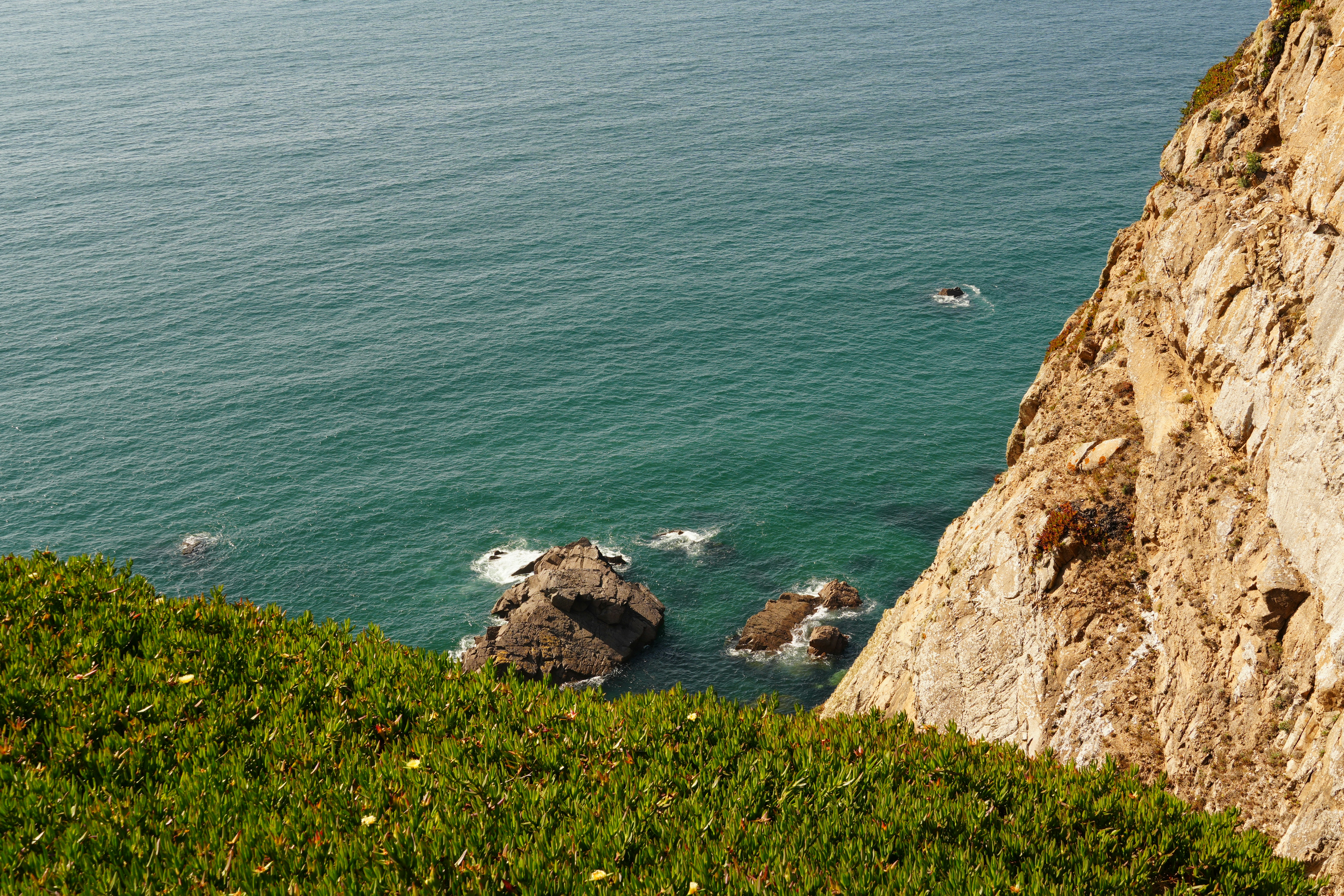 Photo by sarahnungasser