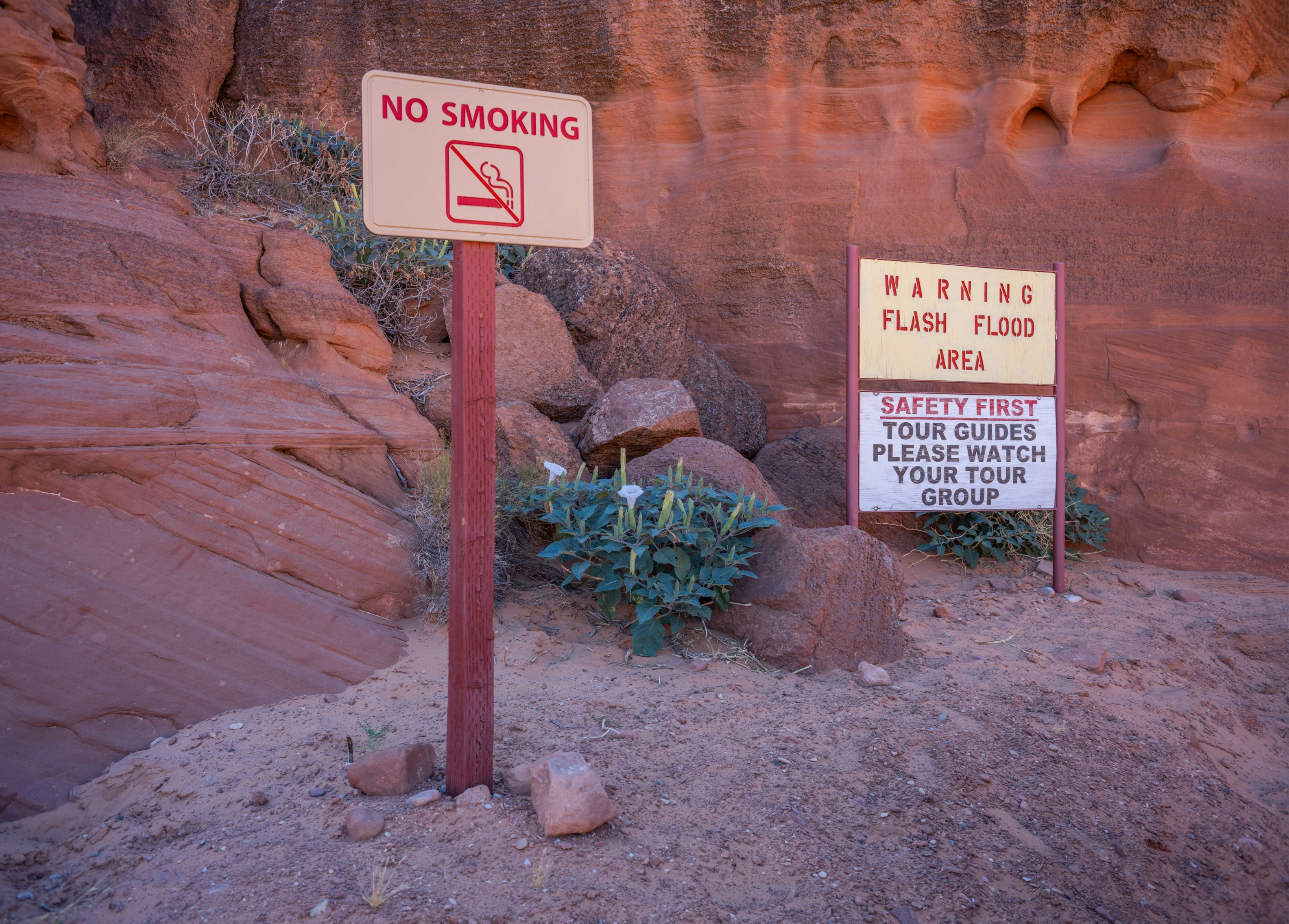 Developing Packaging, Marketing and In Store Practices That Meet Arizona Rules and Protect Consumers