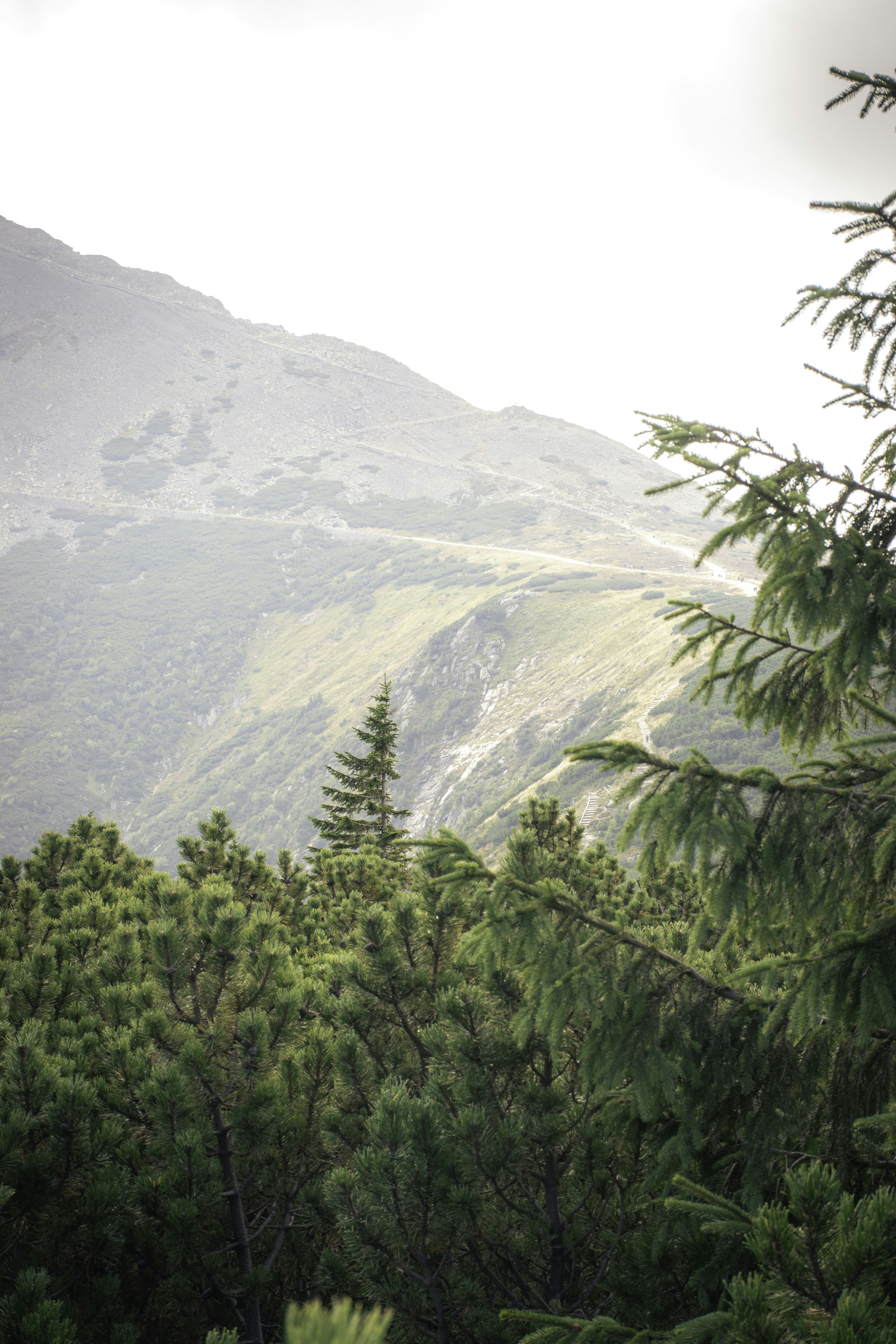 Photo by adam_skrinnikoff