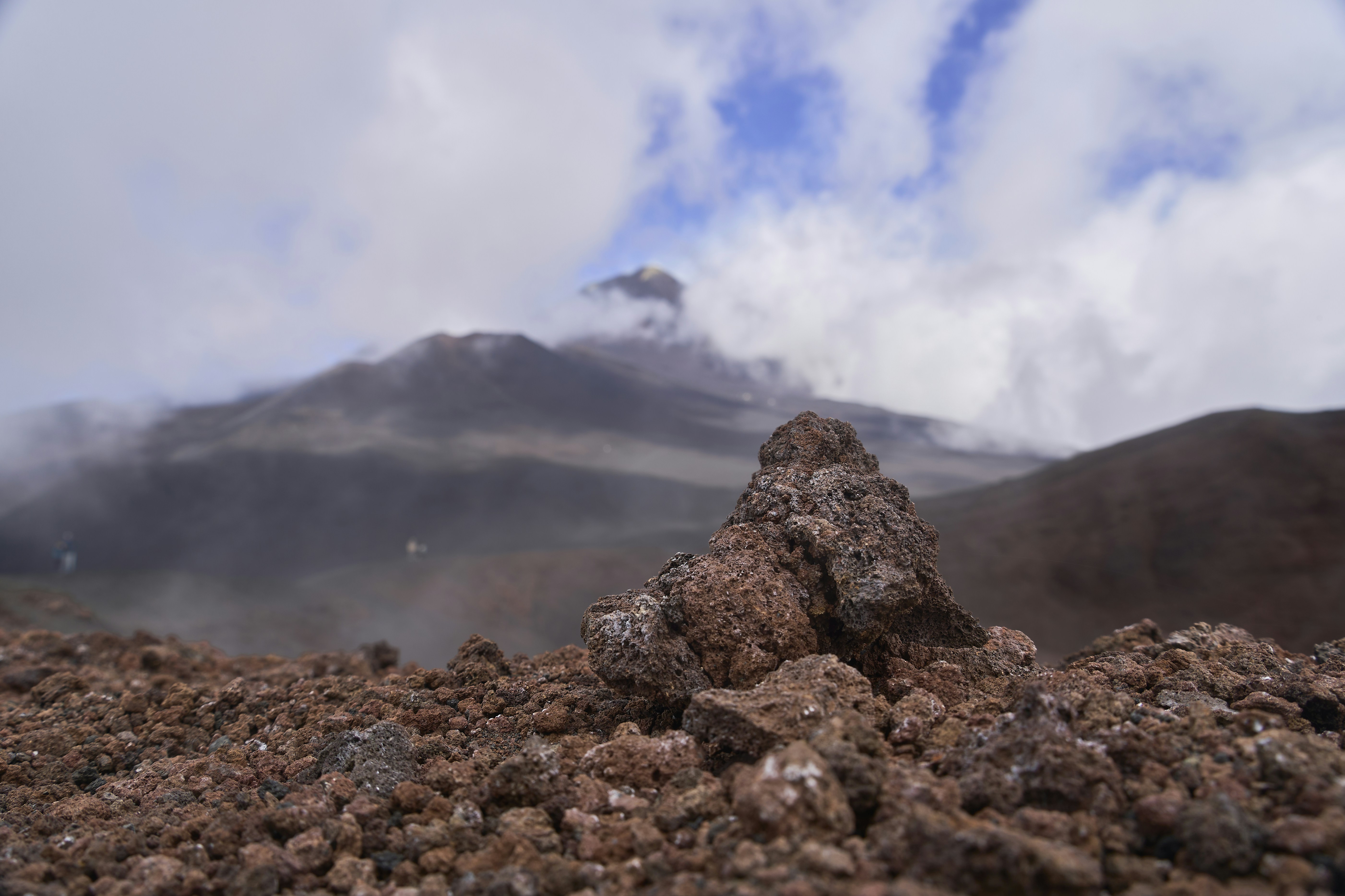 Photo by wolfgang_hasselmann