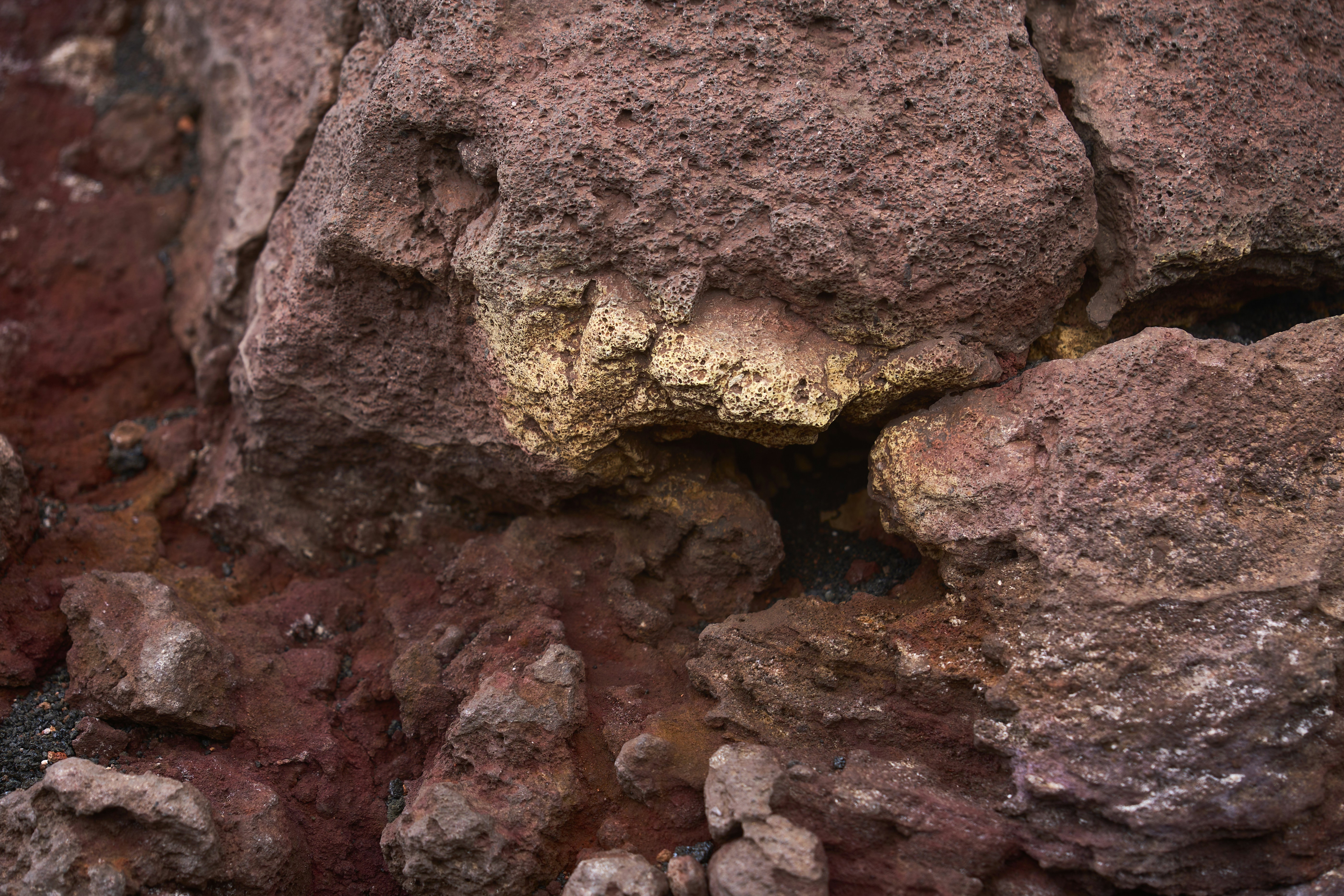 Photo by wolfgang_hasselmann