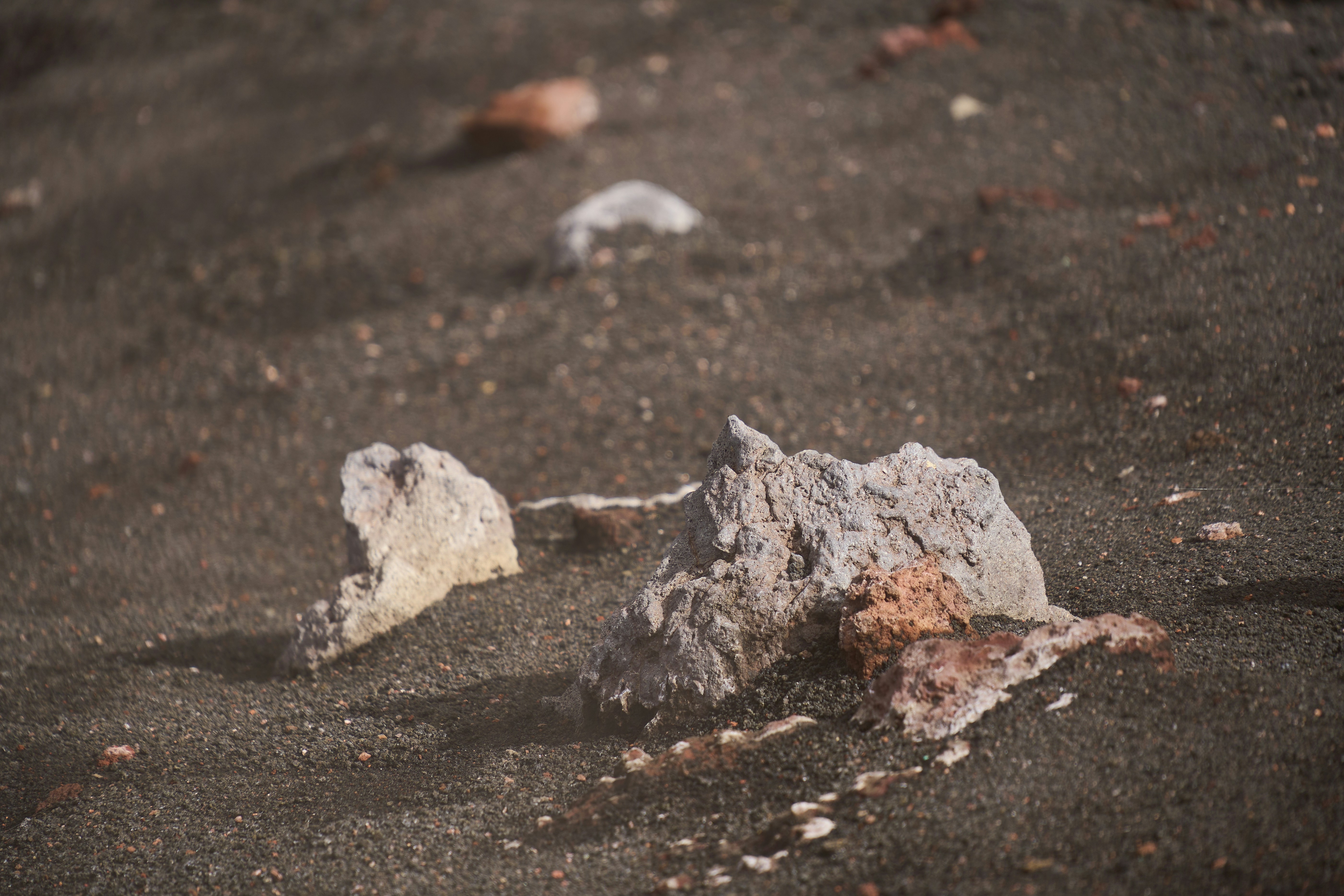 Photo by wolfgang_hasselmann