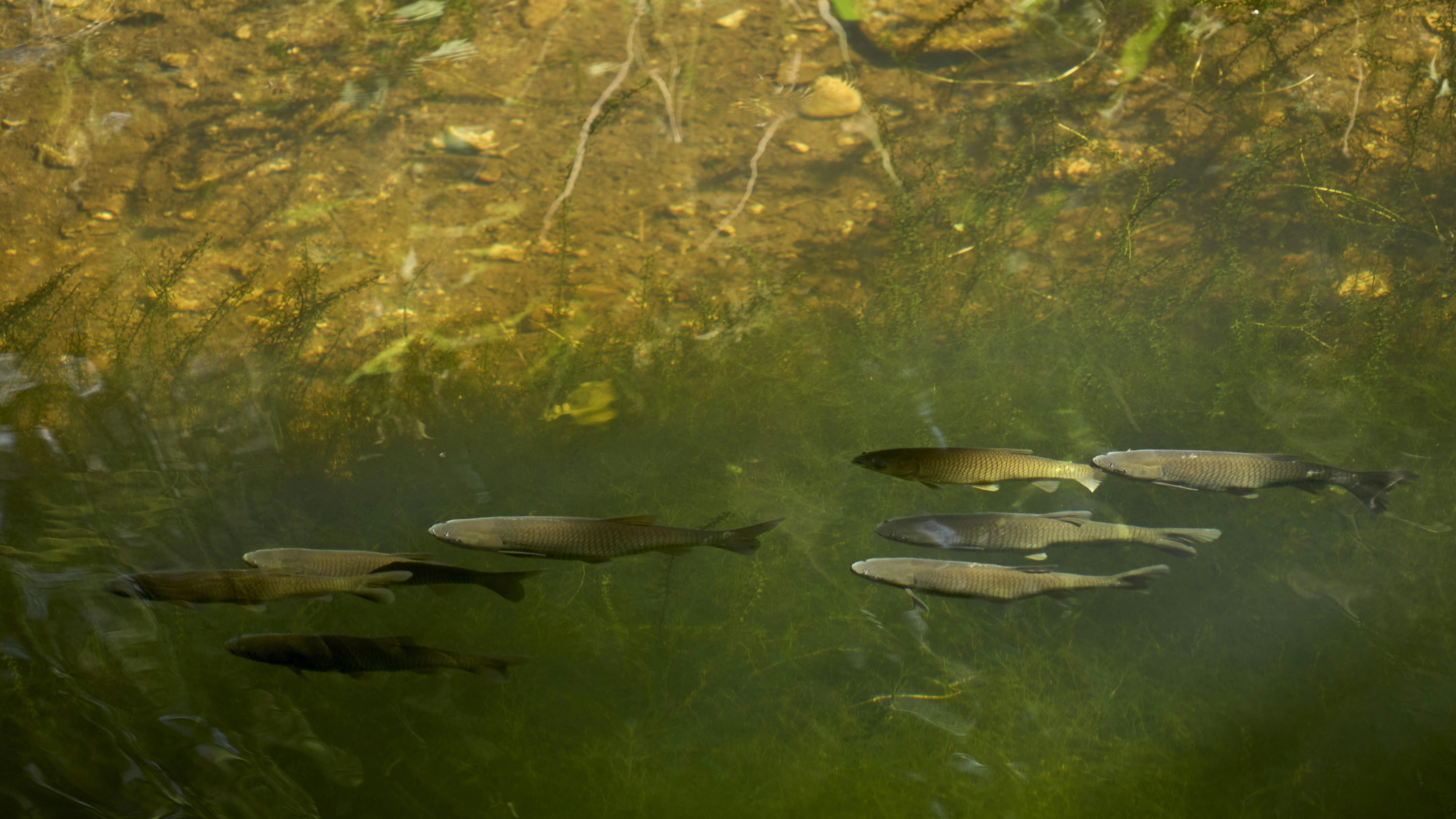 Photo by wolfgang_hasselmann