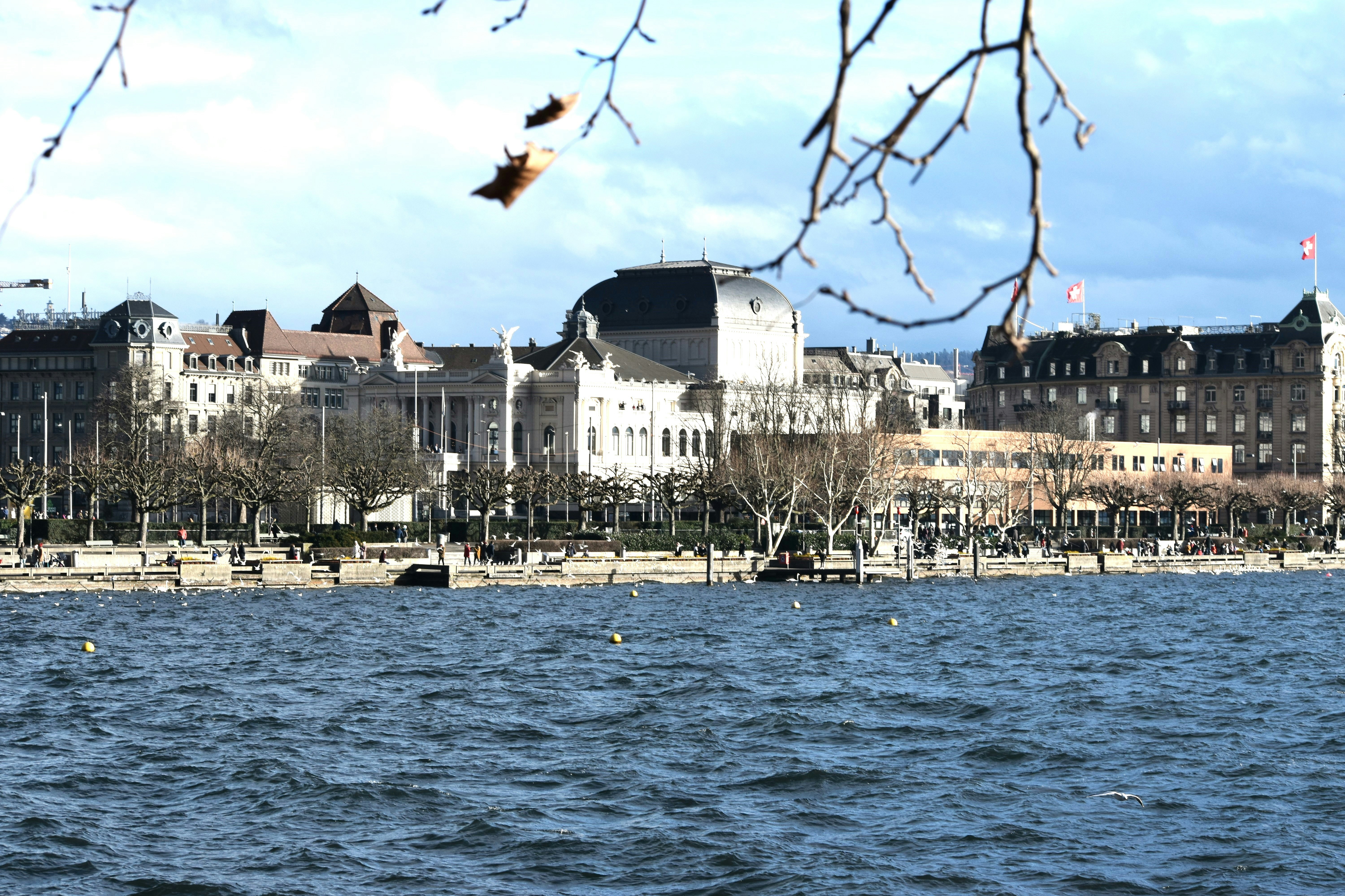 Buildings along the water with trees in foreground.