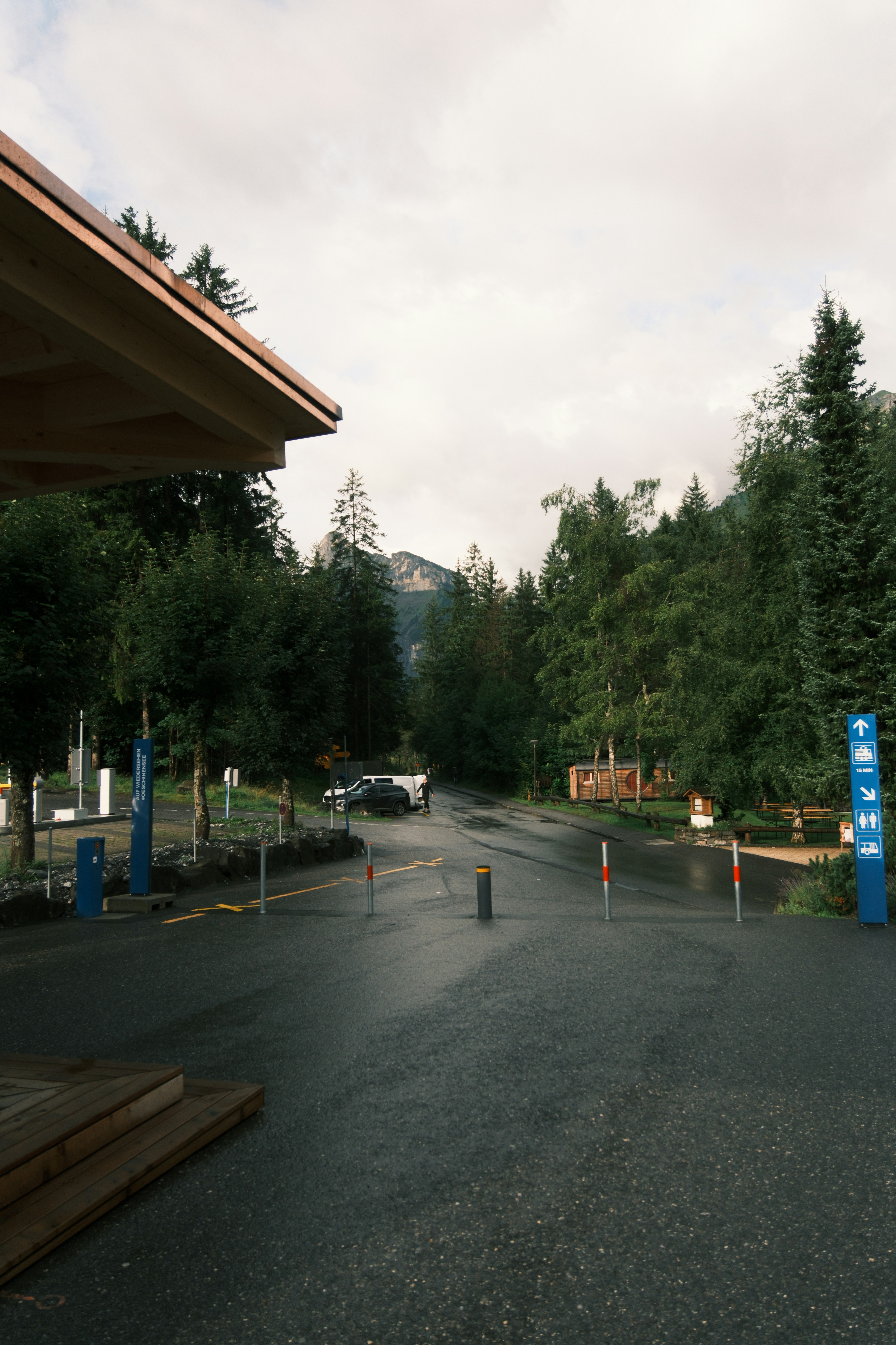Wet road leading to a forest with mountains.