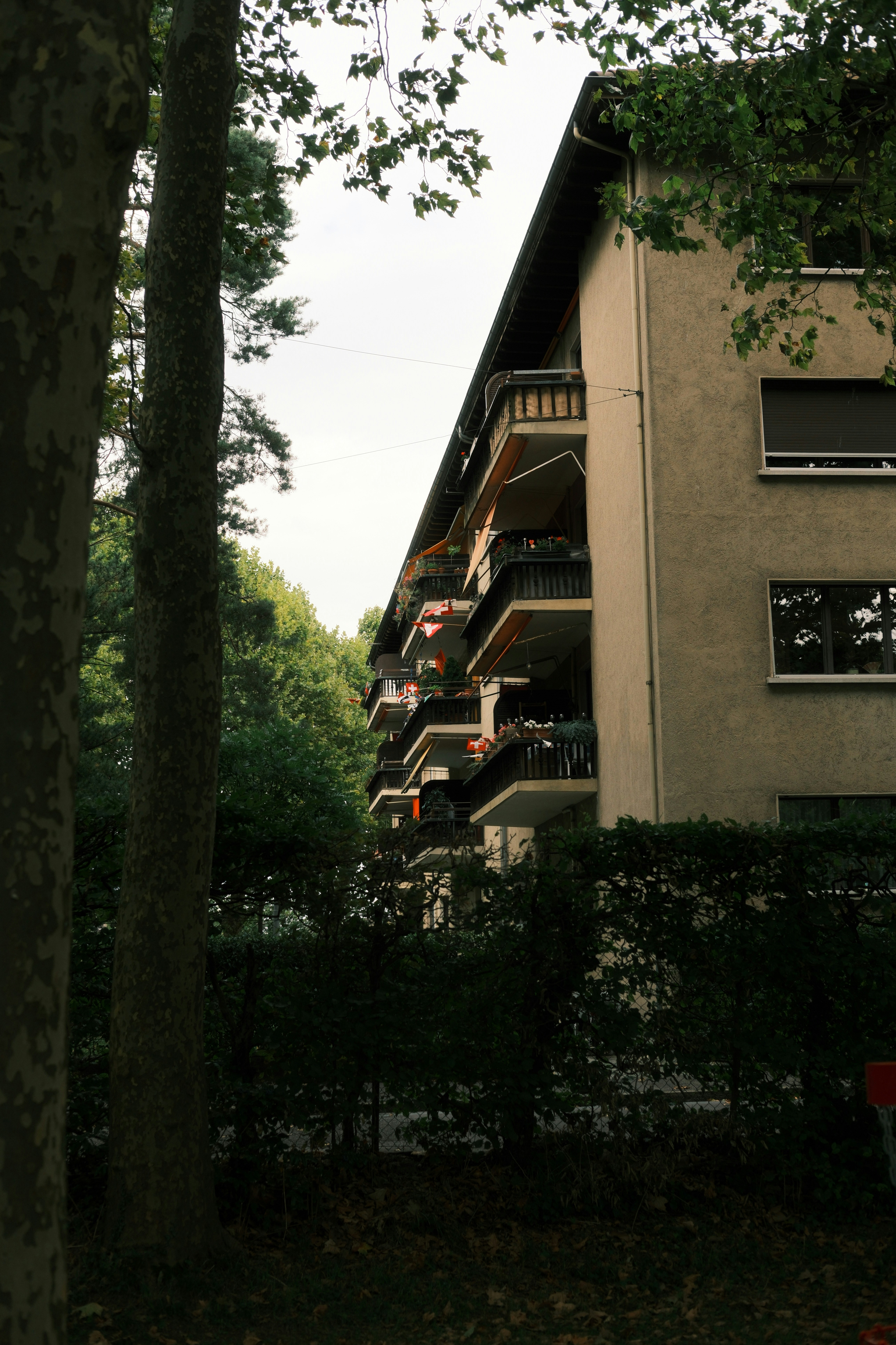 Apartment building with balconies surrounded by trees.