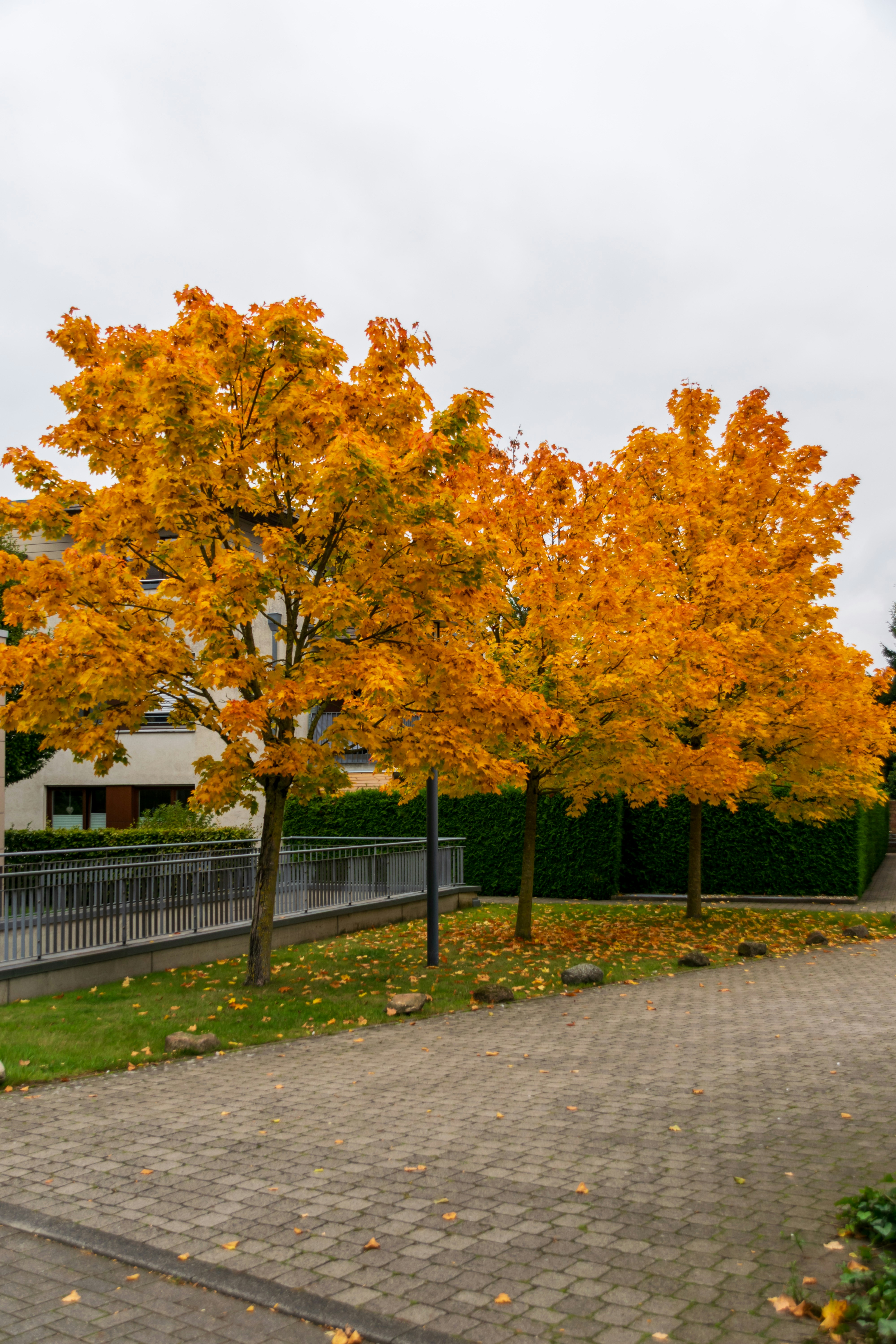 Photo by skstrannik