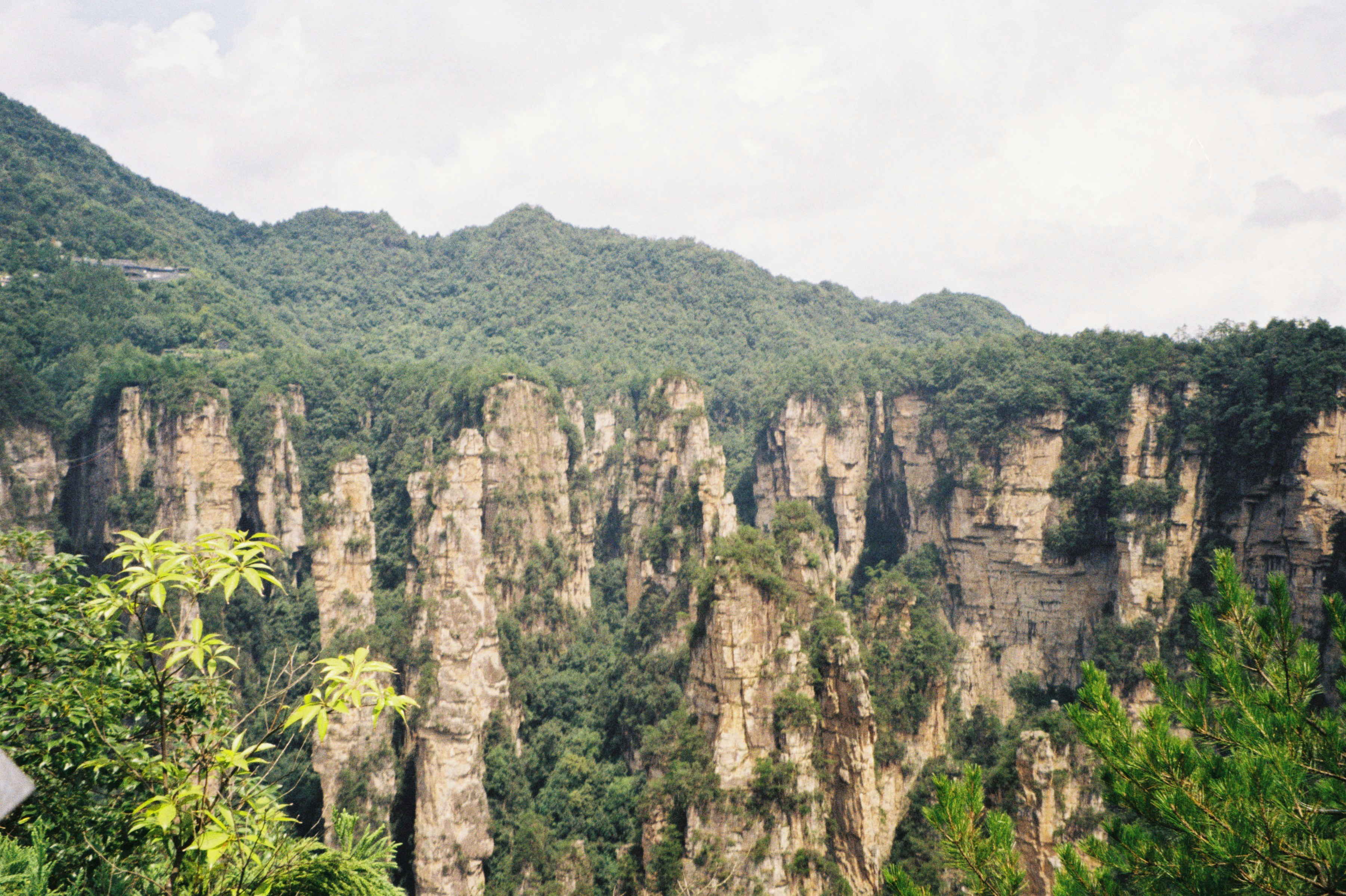 Zhangjiajie National Forest Park with mist-covered peaks