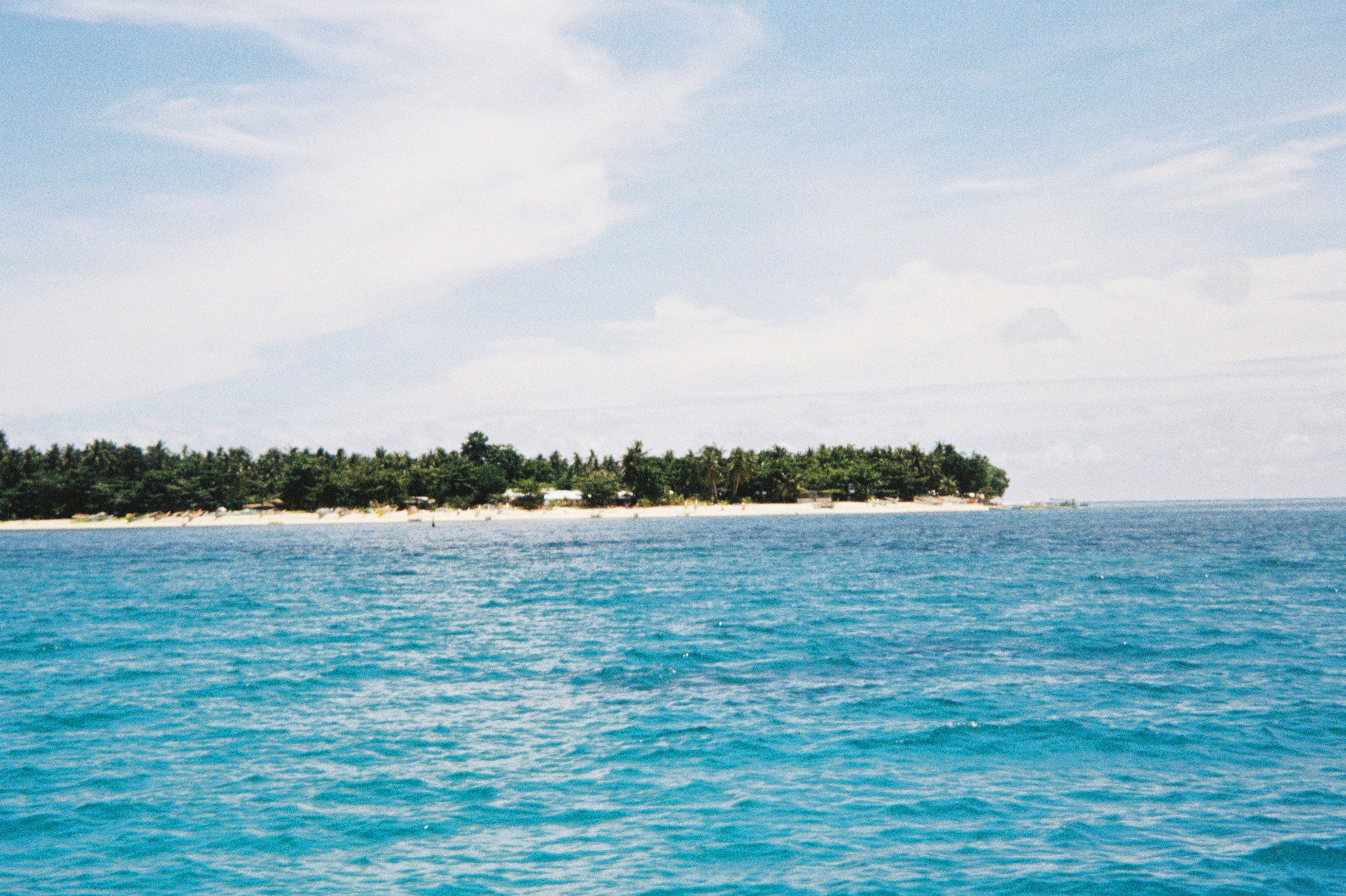 Tropical island with palm trees and blue ocean