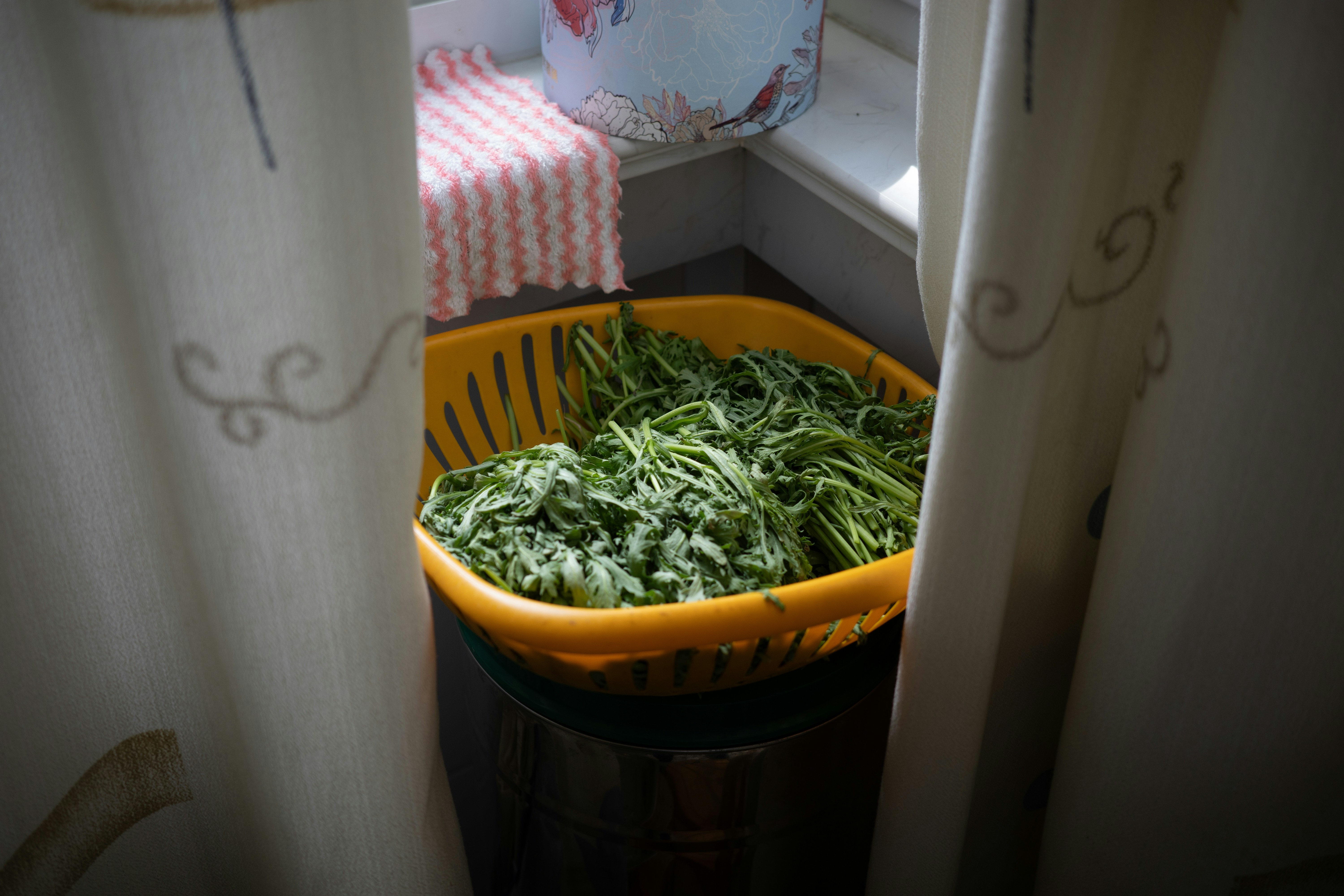 Rahasia Memasak Sayuran: Gizi Terjaga, Rasa Menggoda, dan Hidangan Lebih Sehat