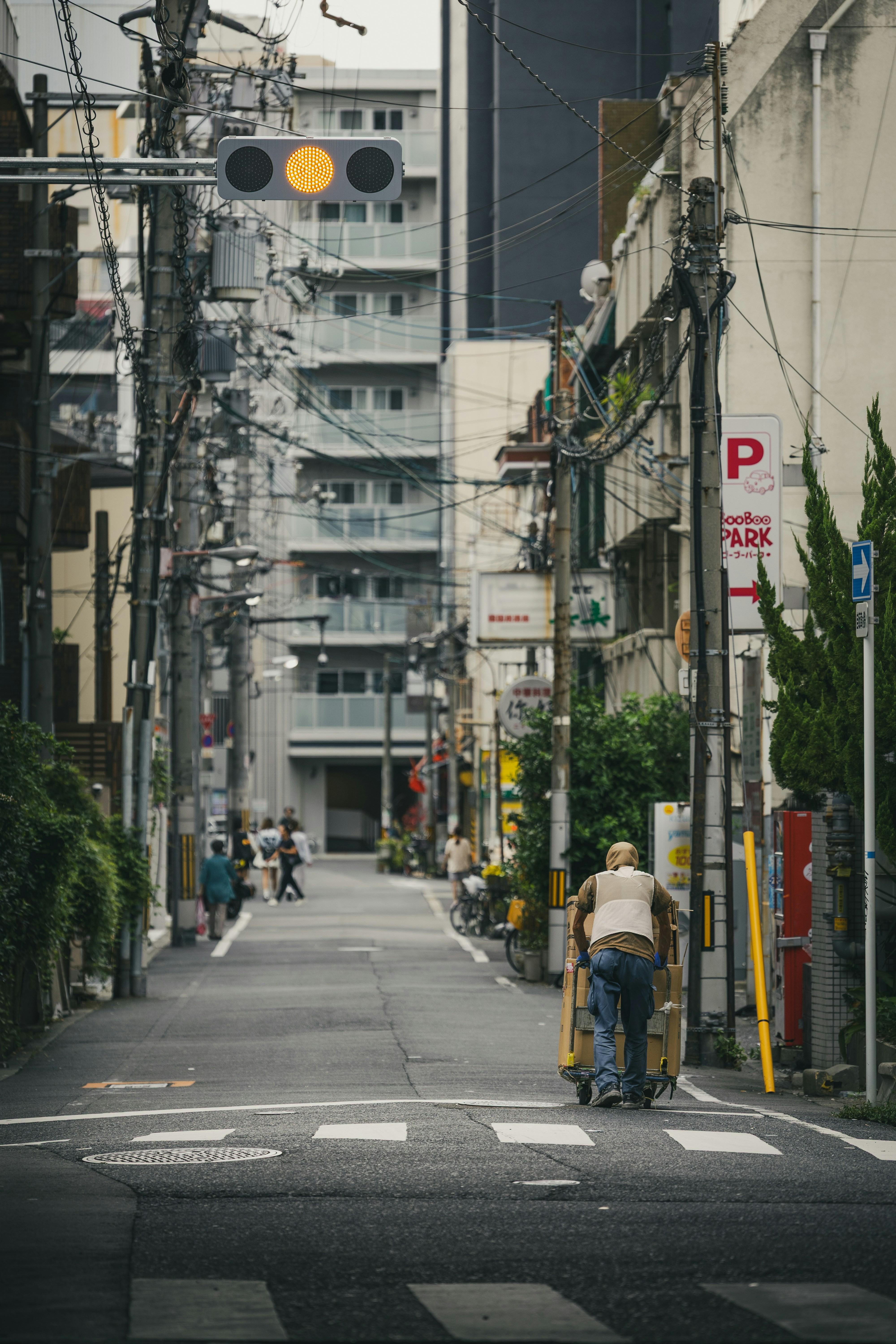 Photo by wenhao_ruan