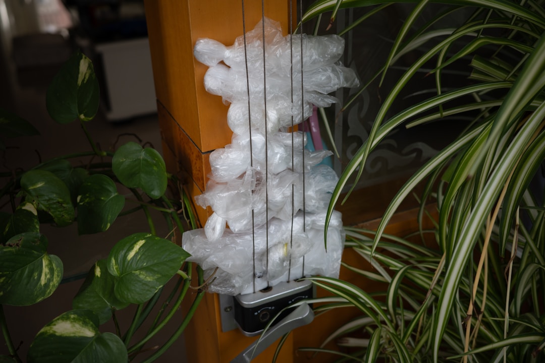 Sustainability Initiatives Image 3