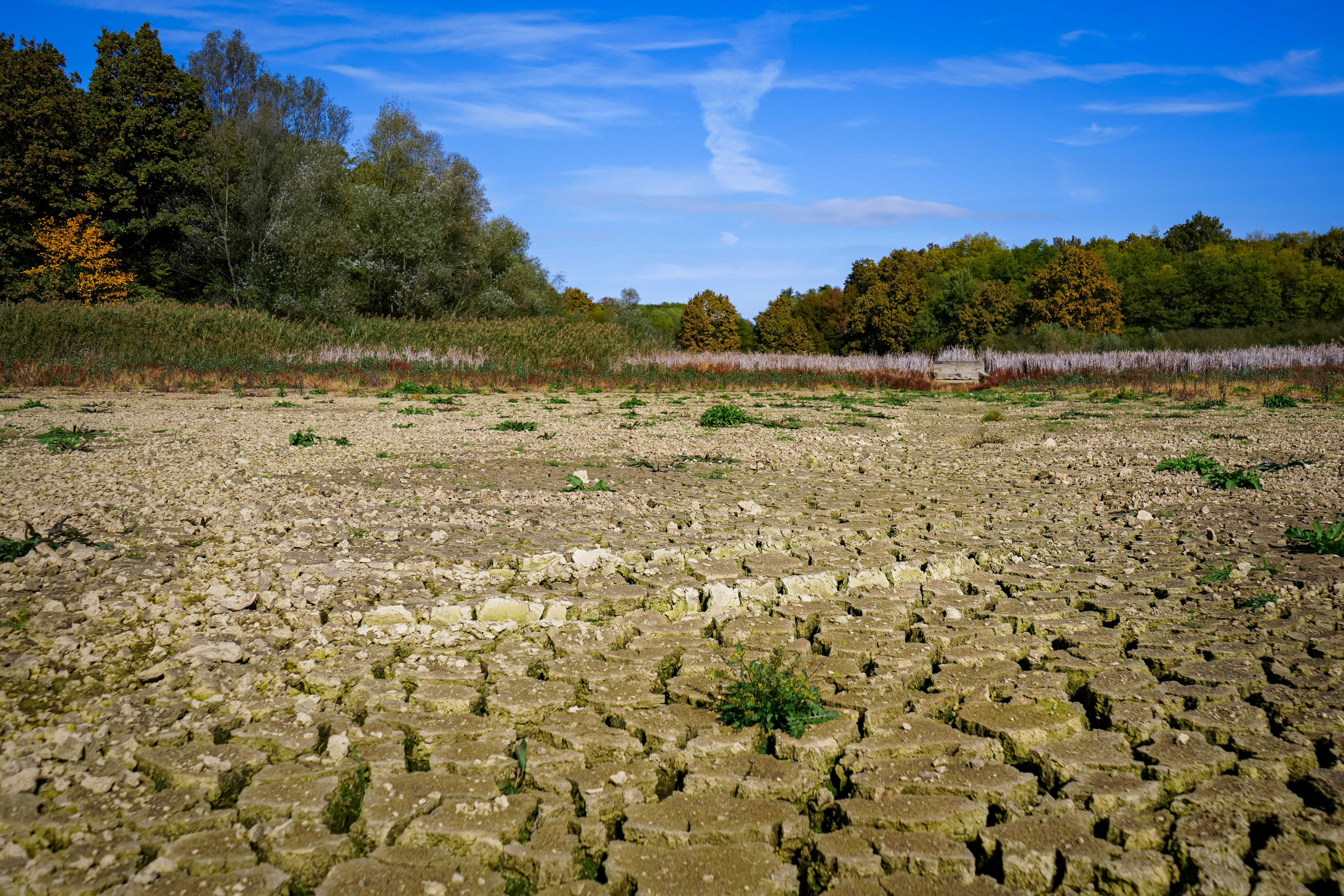 water scarcity landscape, wallpaper, Perang Air: Konflik Sumber Daya di Masa Depan 3