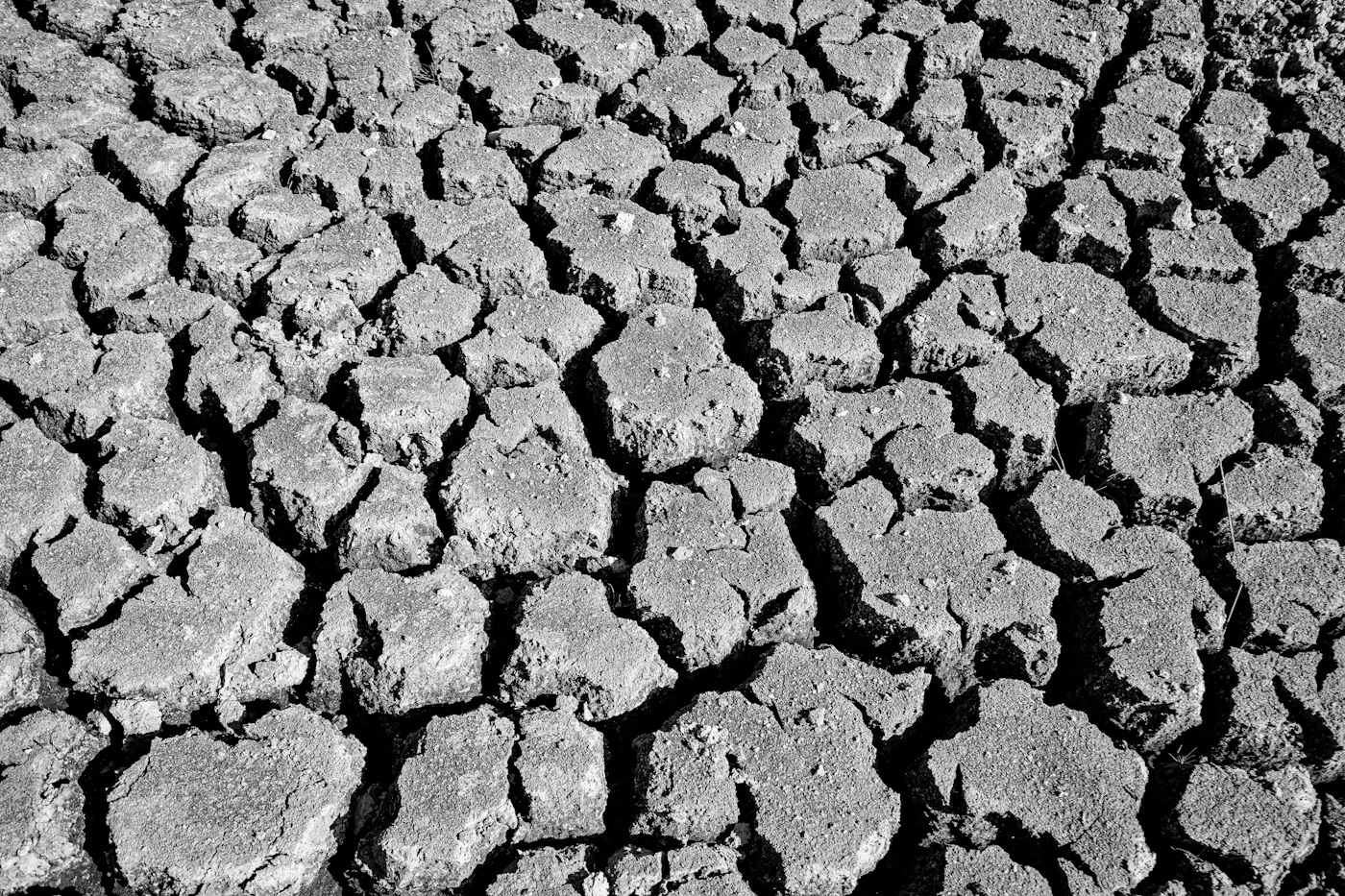 Illustration : L'été 2026, le plus chaud jamais enregistré en France