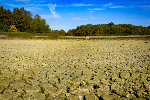 Terre craquelée par la sécheresse