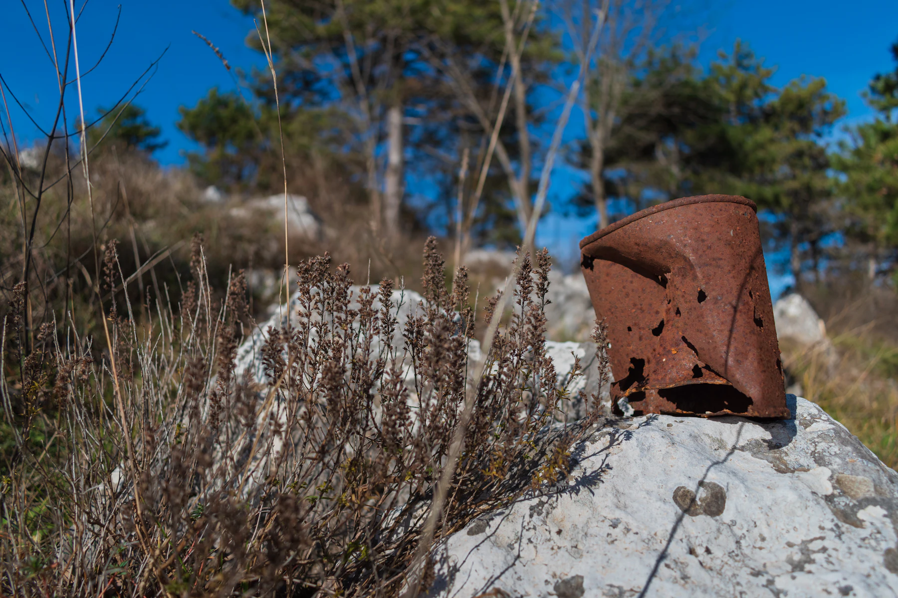 A rusted-through steel can sitting on a pale rock among dry grass under a blue sky