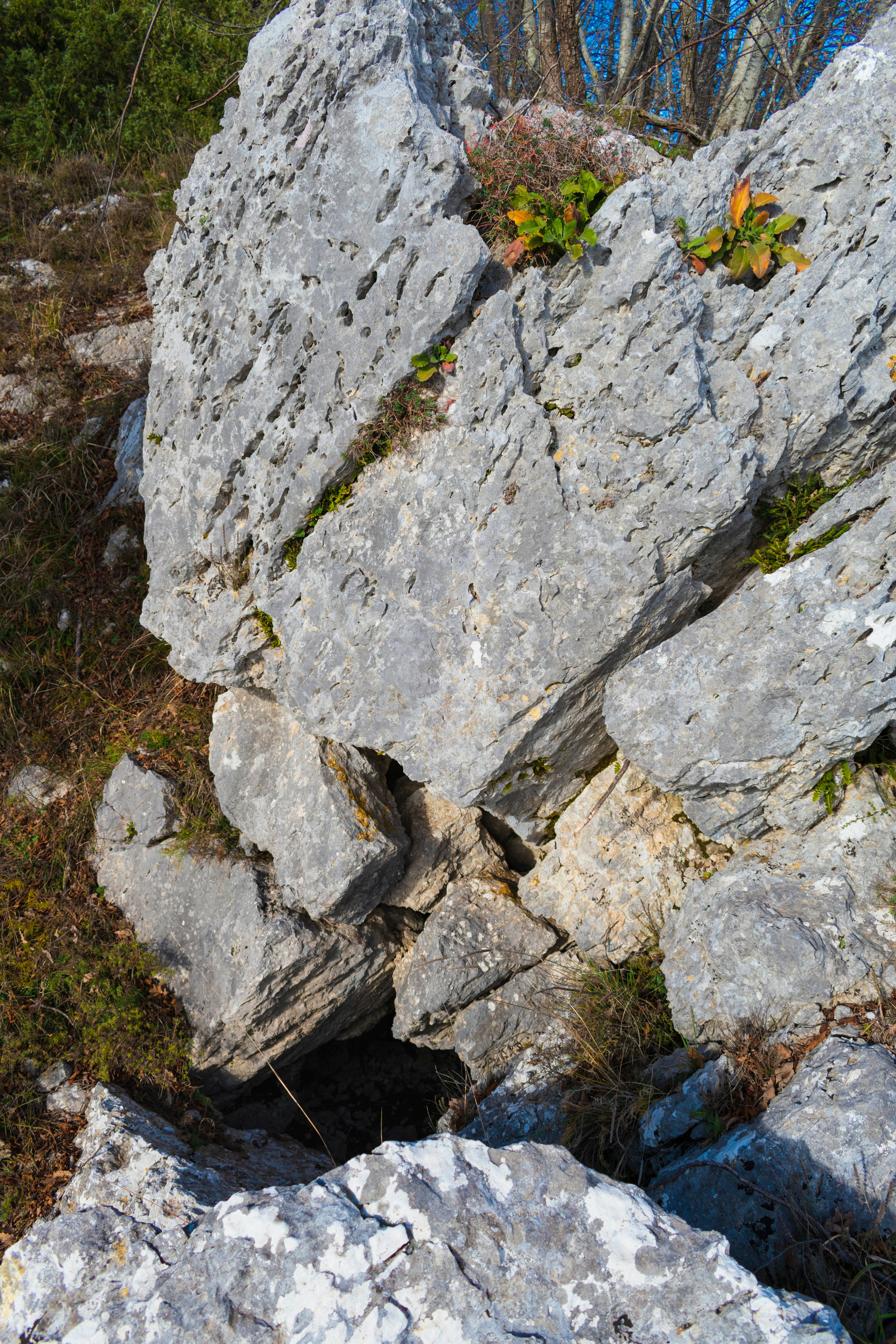 Jagged grey rocks with sparse green vegetation.