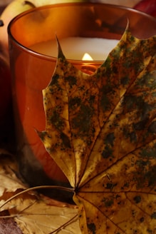 A lit candle with autumn leaves and fruit