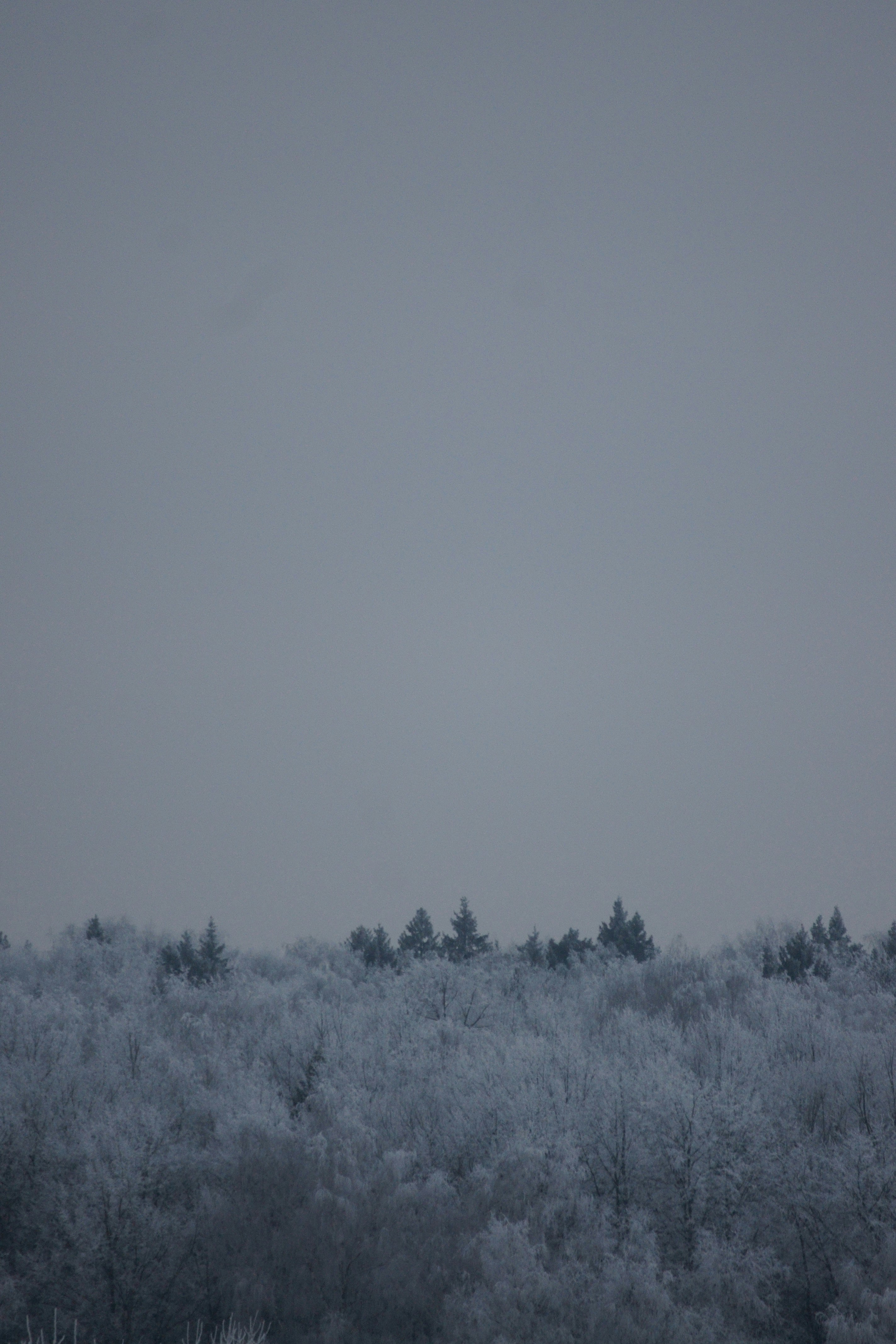 Photo by caktuz