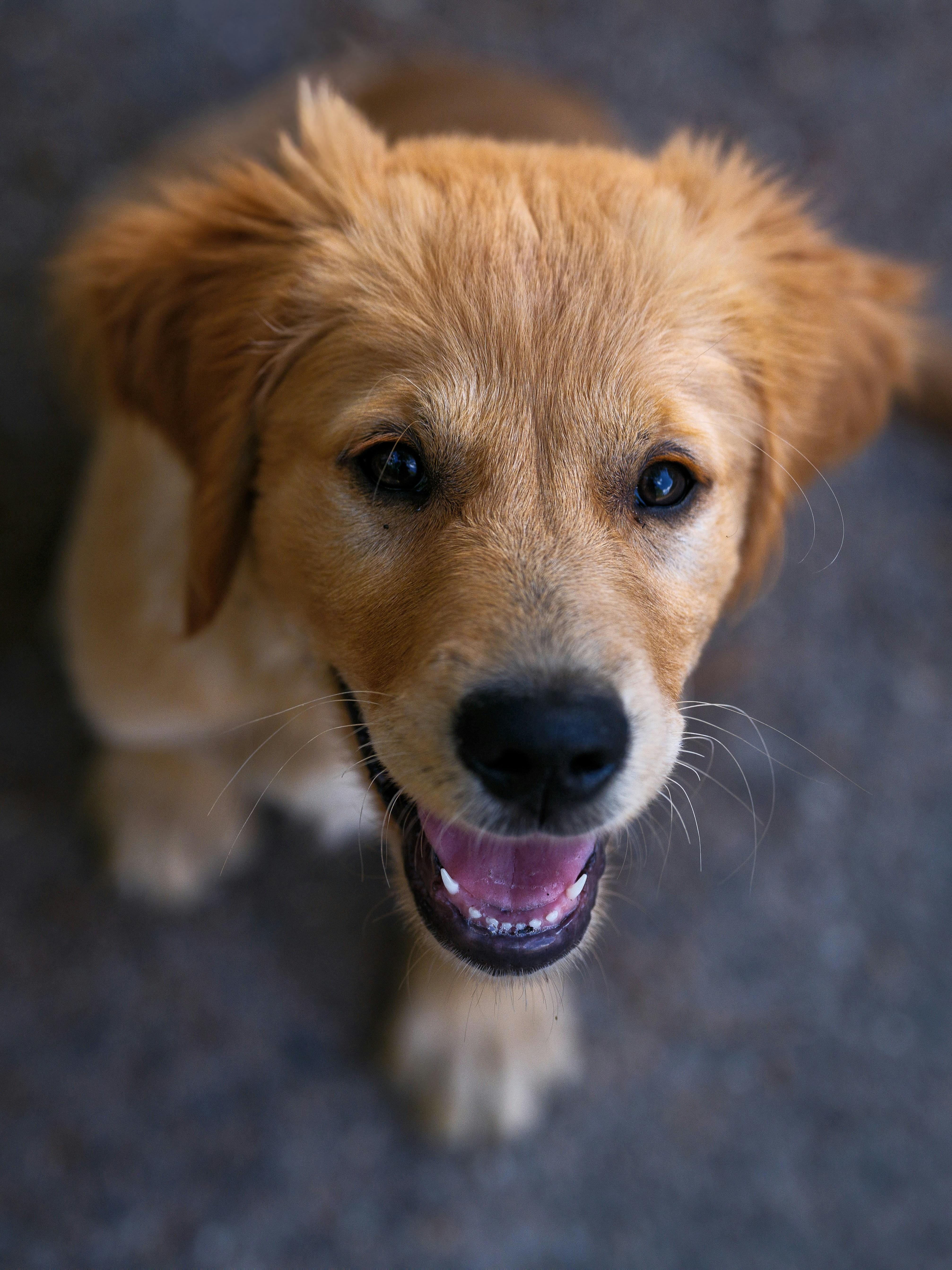 Photo by haberdoedas