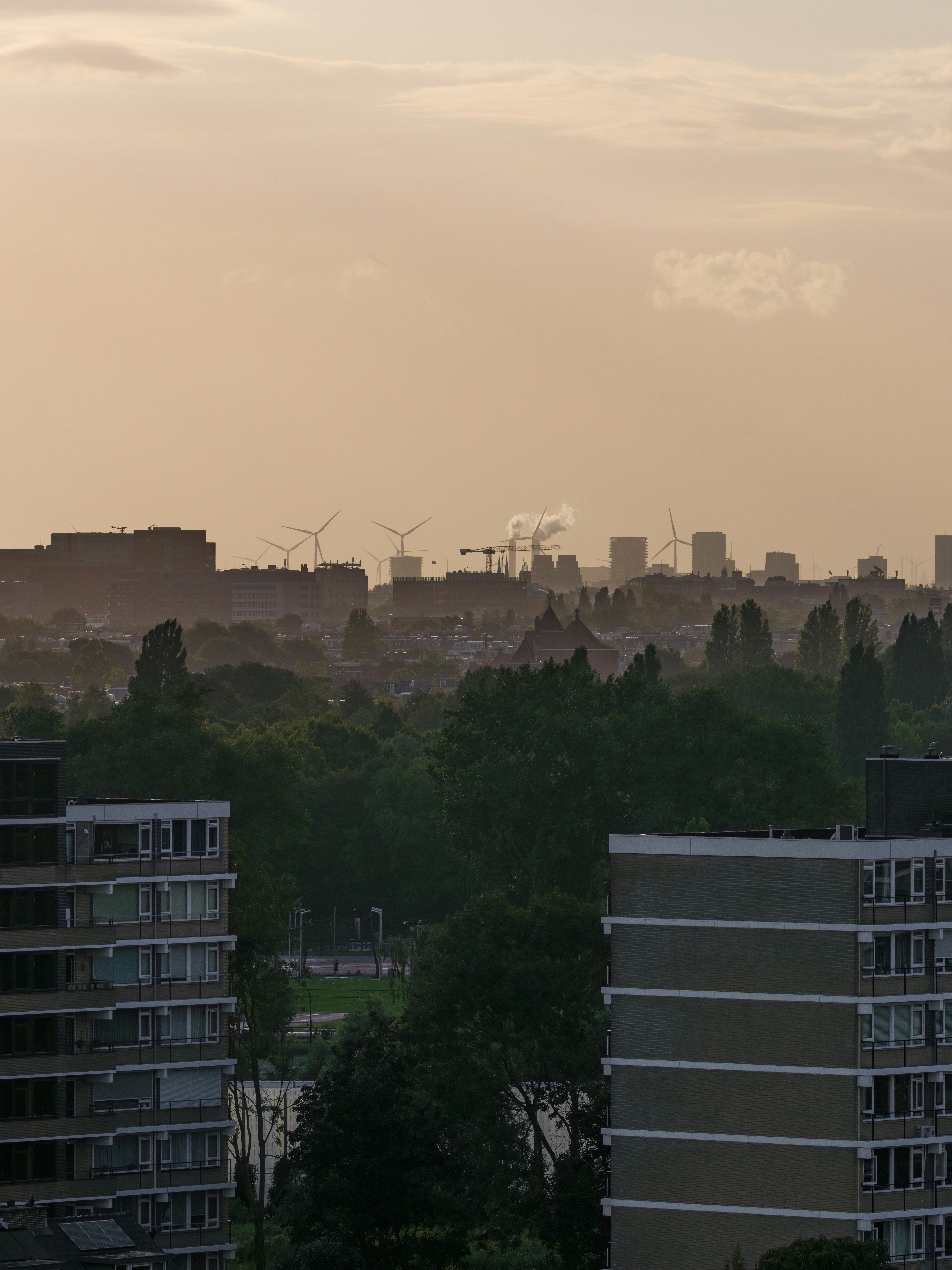 Photo by haberdoedas