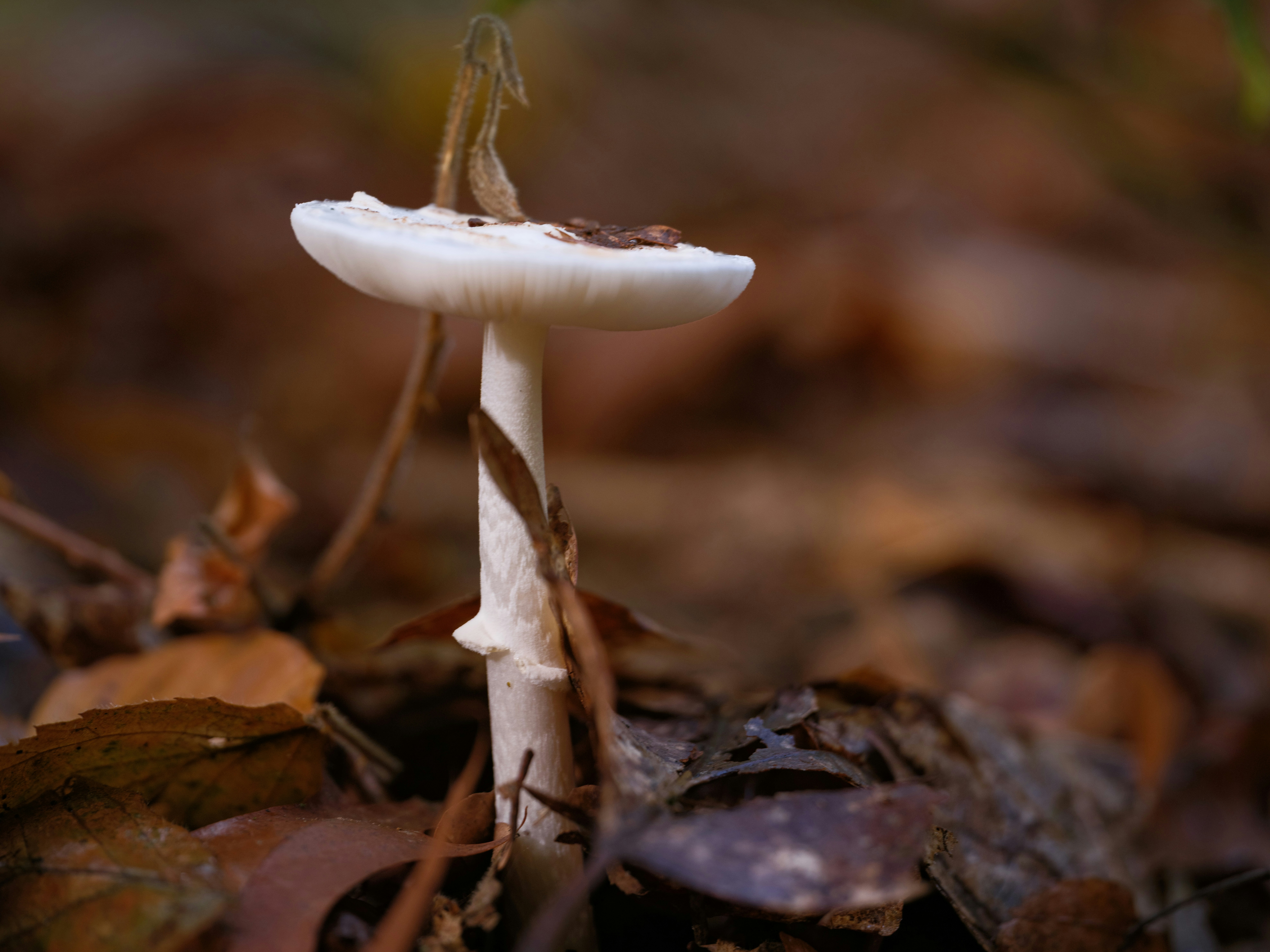 Photo by haberdoedas