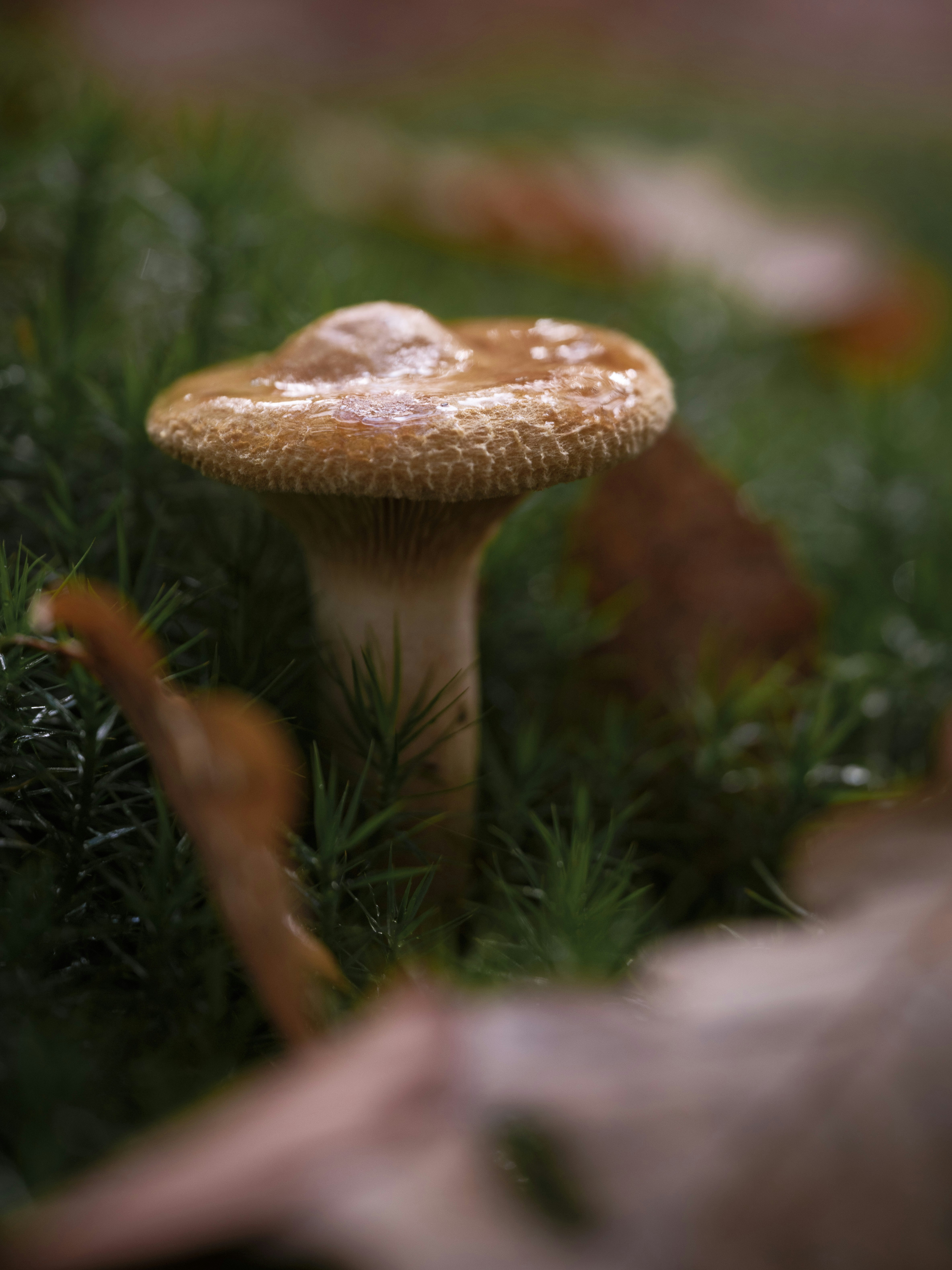 Photo by haberdoedas