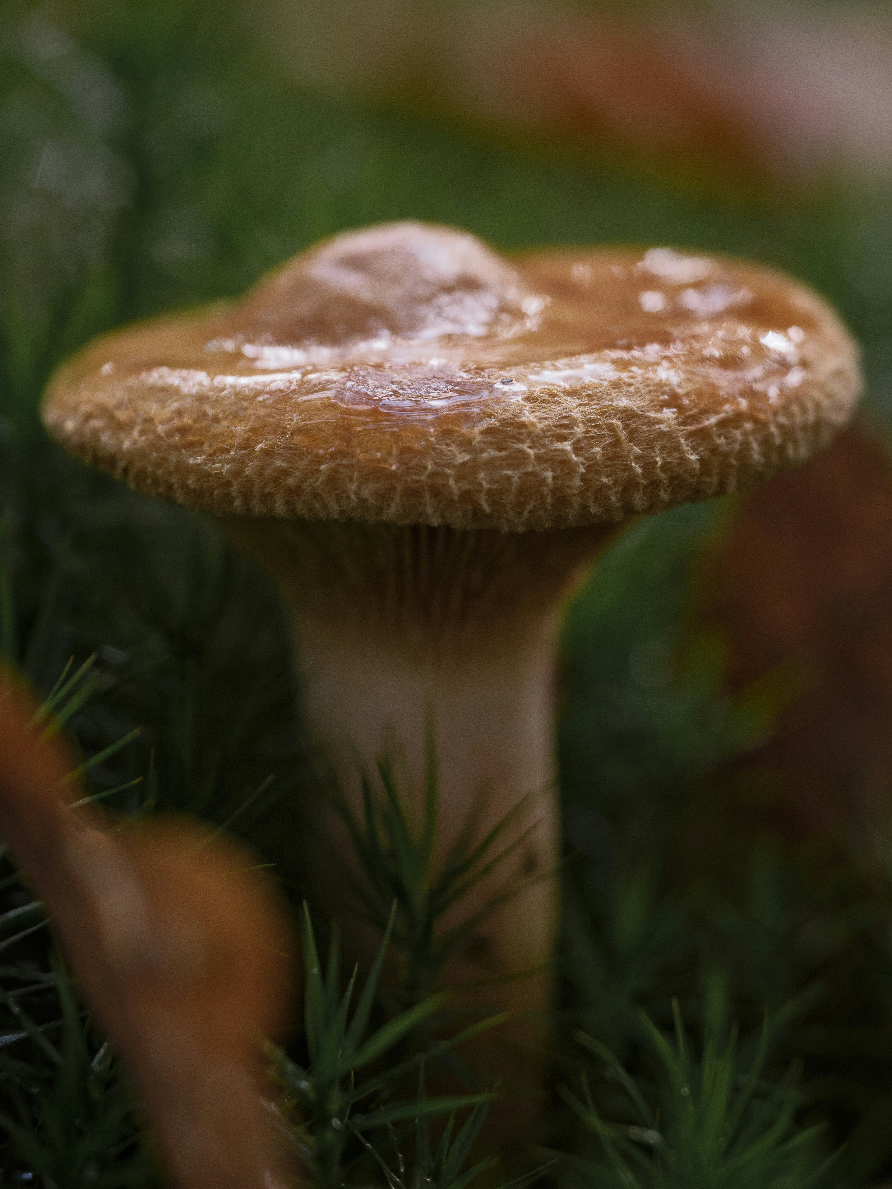 Photo by haberdoedas