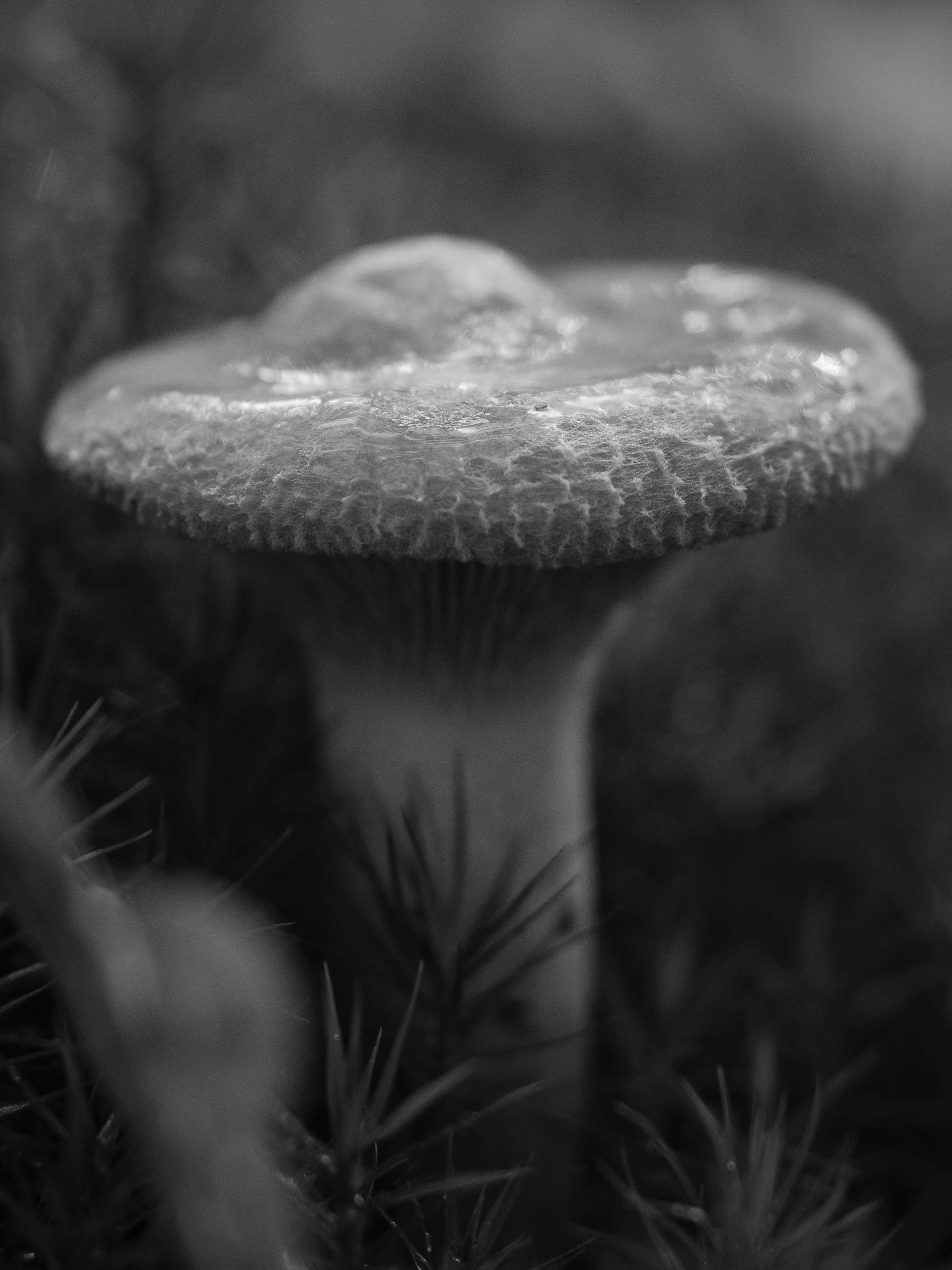 Photo by haberdoedas