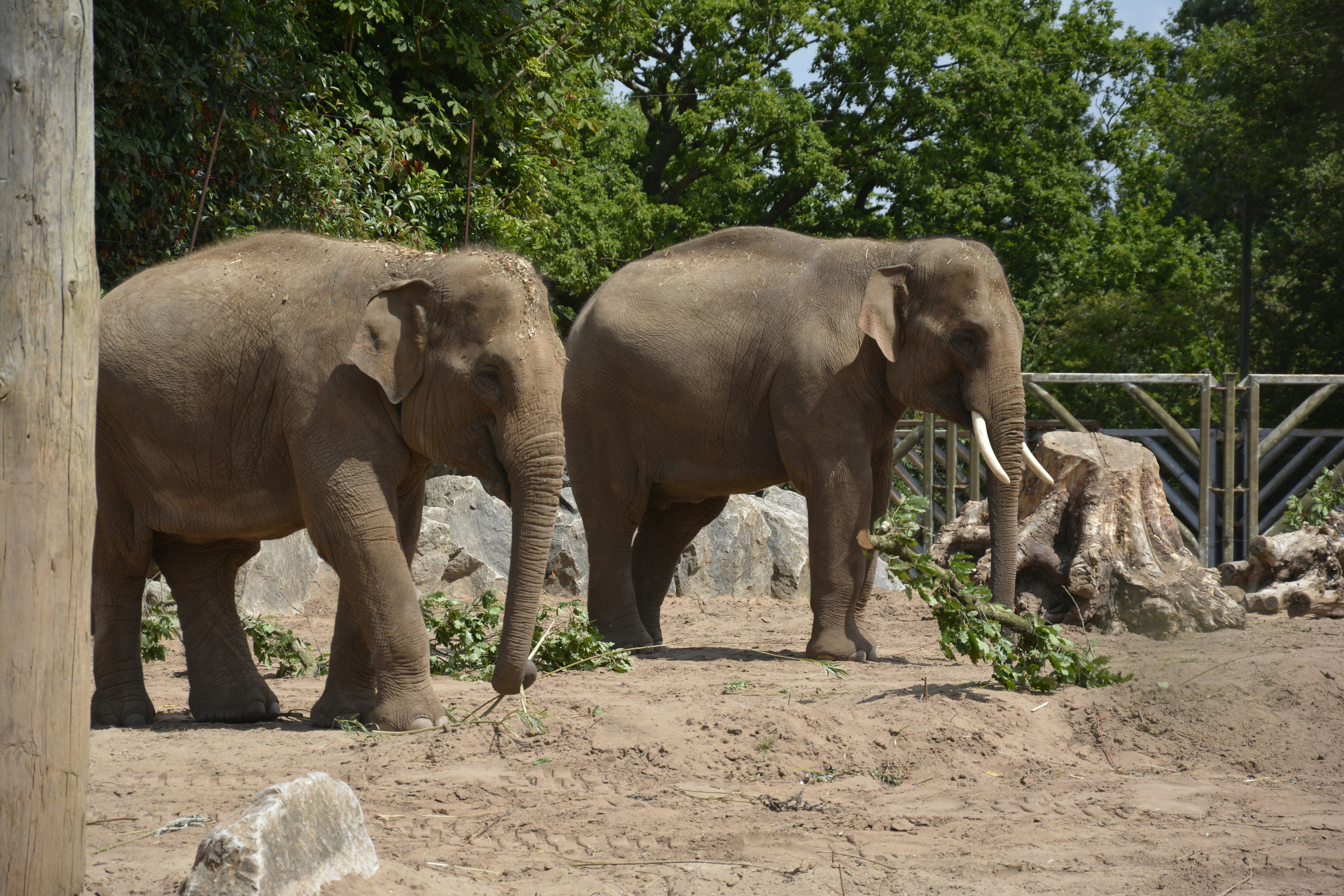 Photo by alexdavidphotos