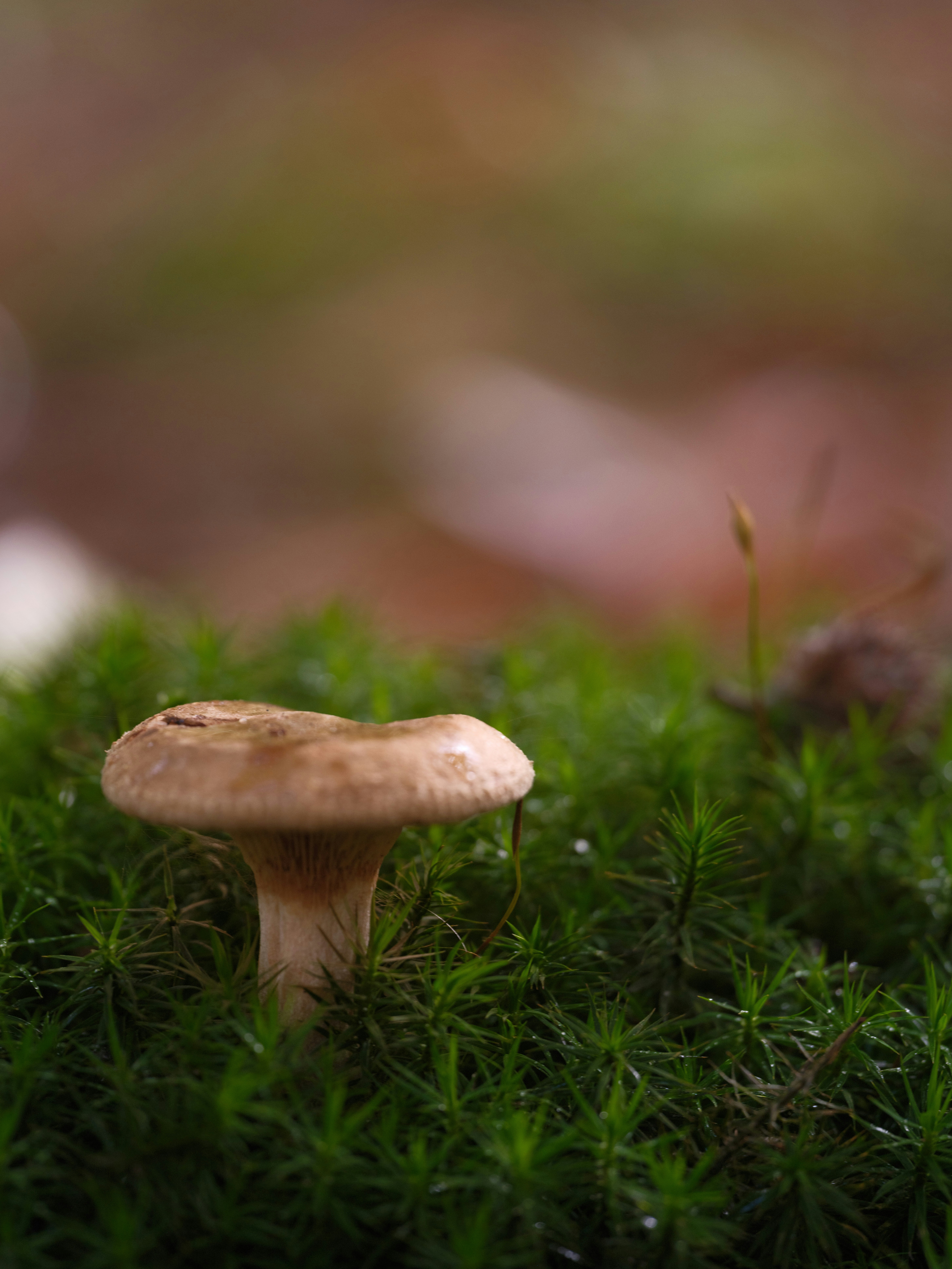 Photo by haberdoedas