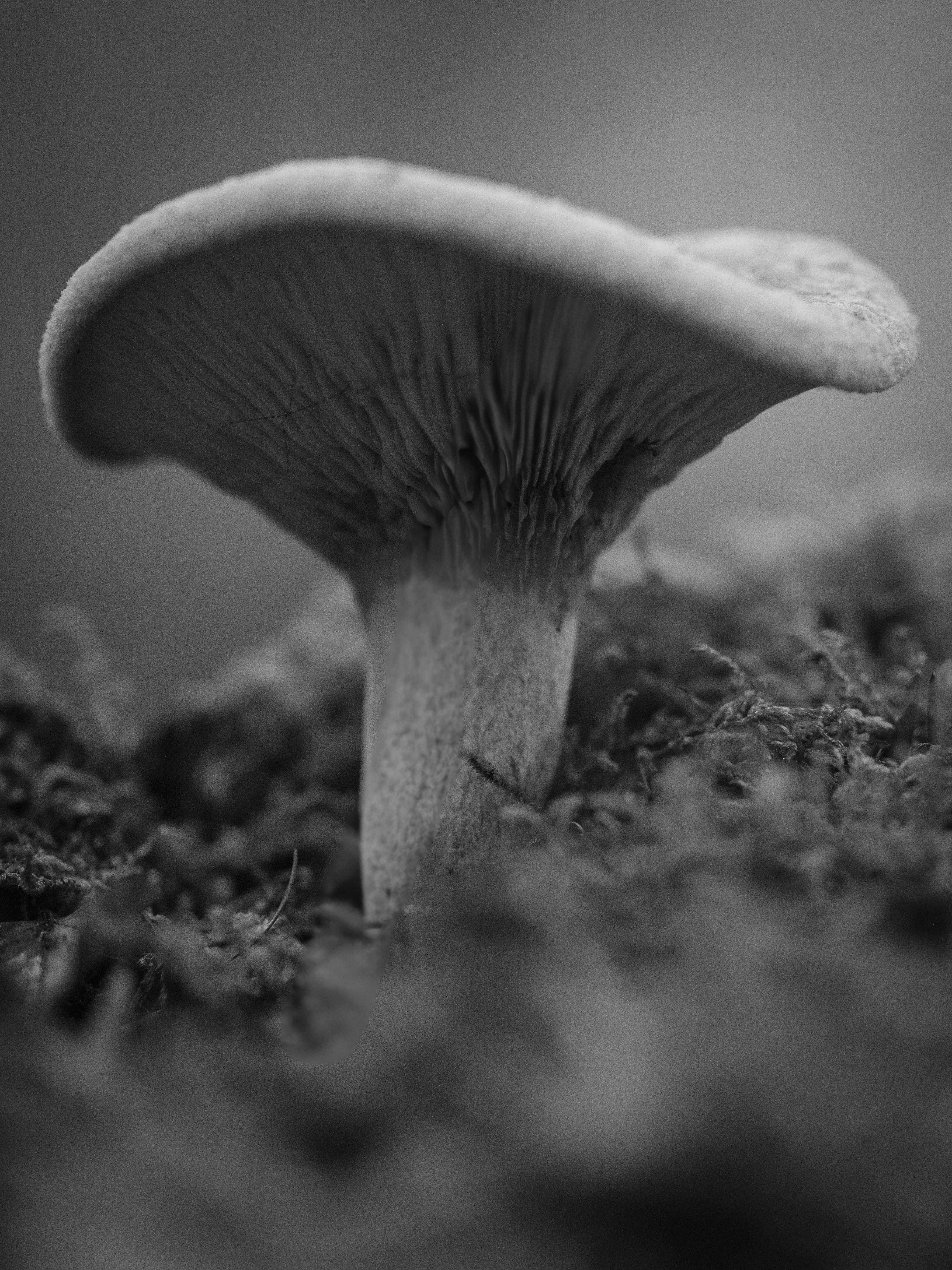 Photo by haberdoedas