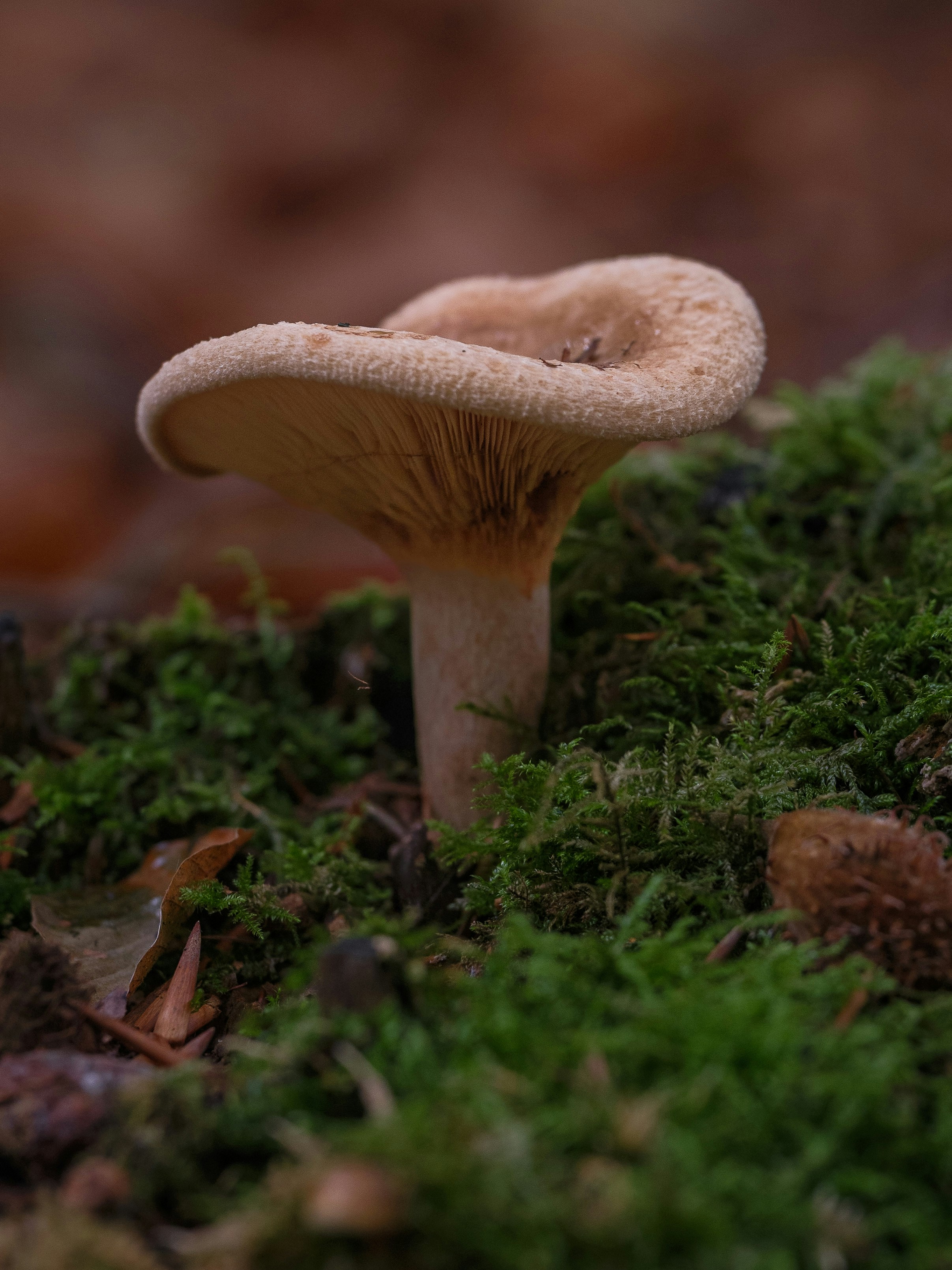 Photo by haberdoedas