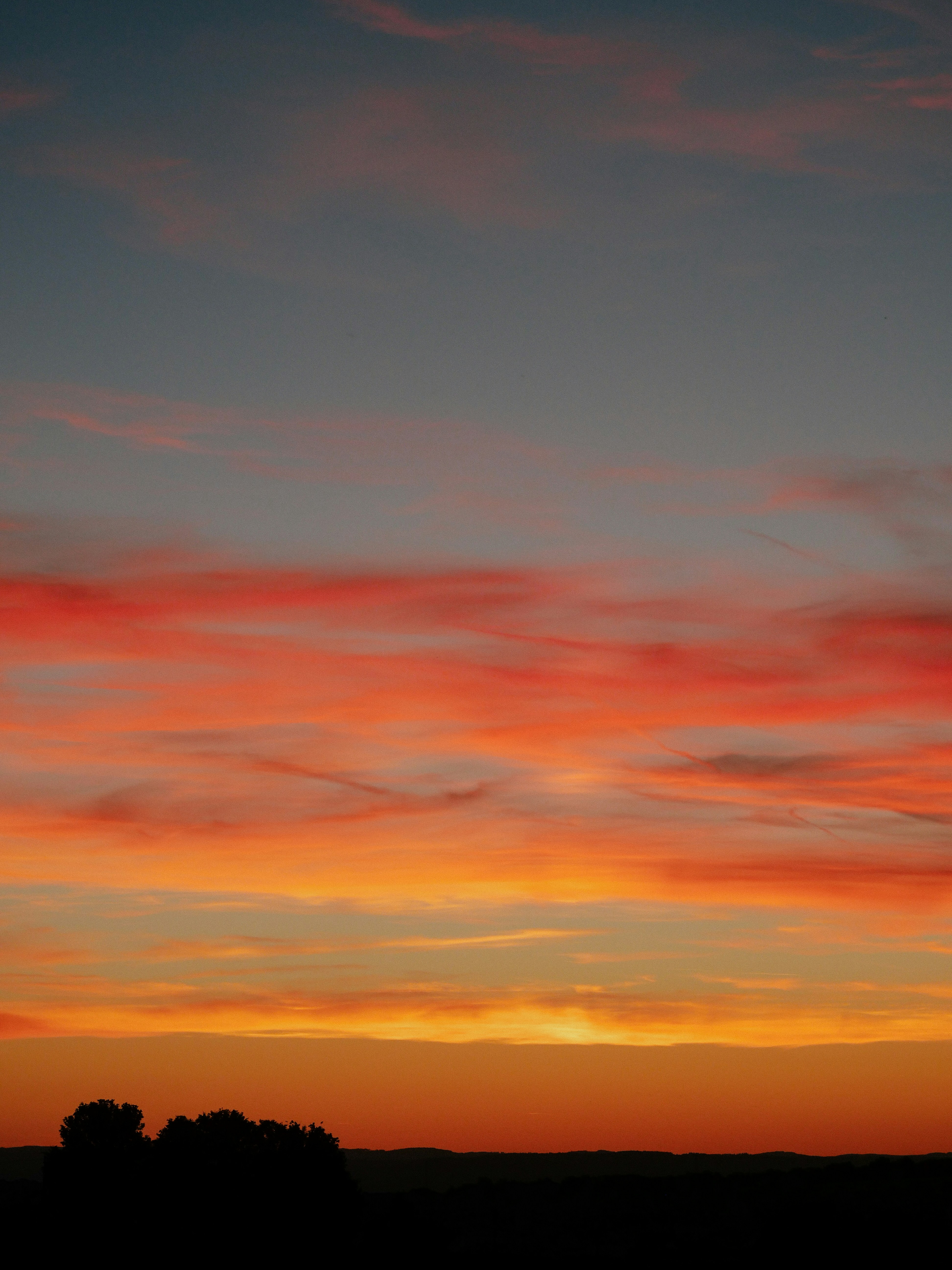 Photo by philipphubert