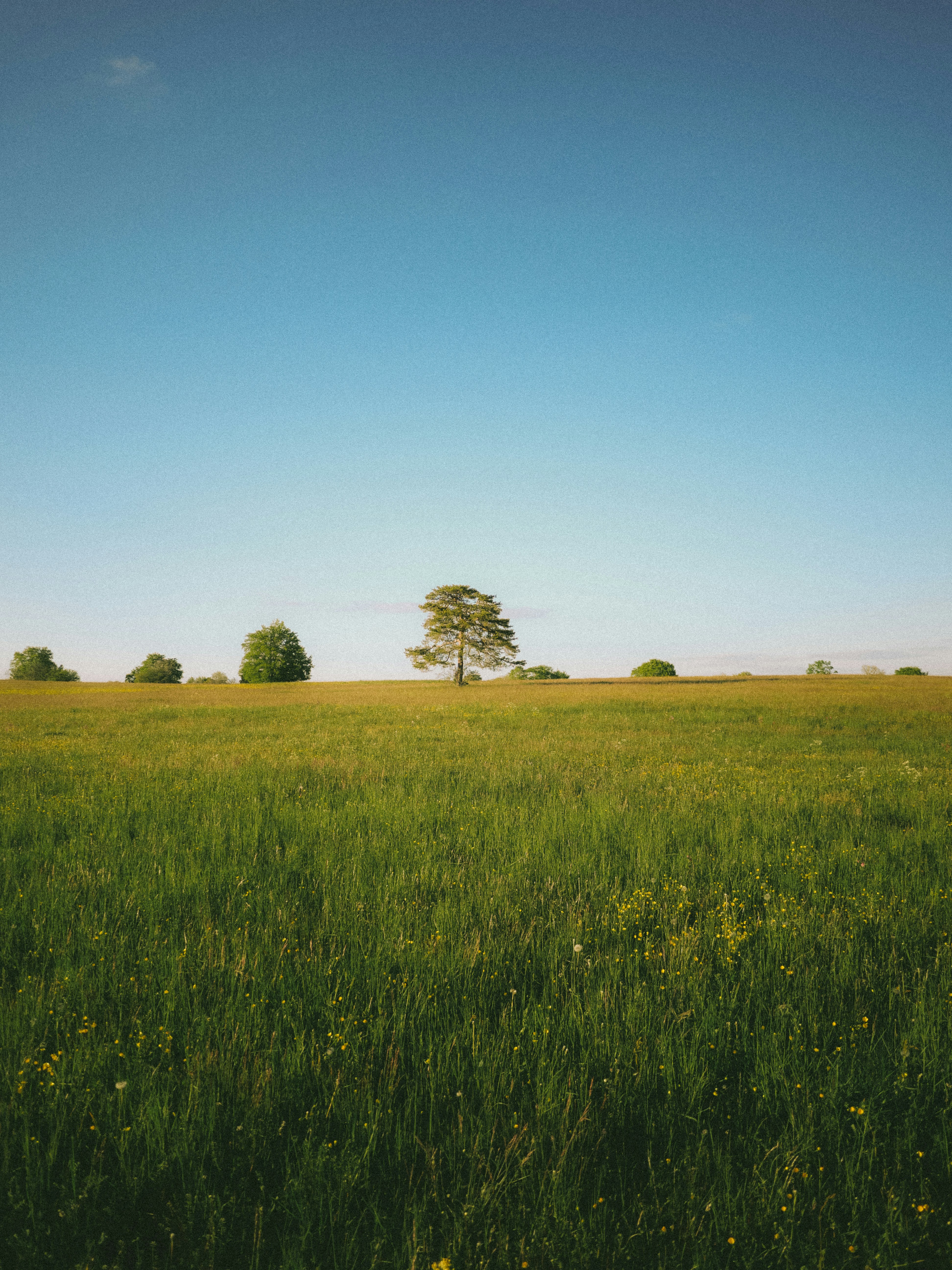 Photo by philipphubert